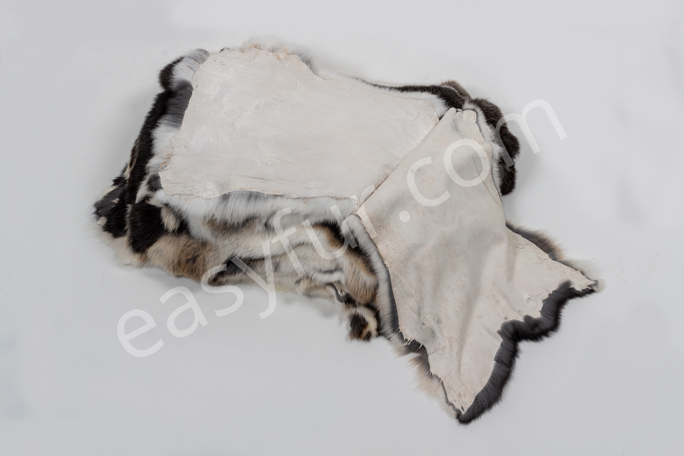 4-6052-Rabbit-Skins-black-white-belly-Naturelle-Kaninchen-Felle-schwarz-grauer-Wamme