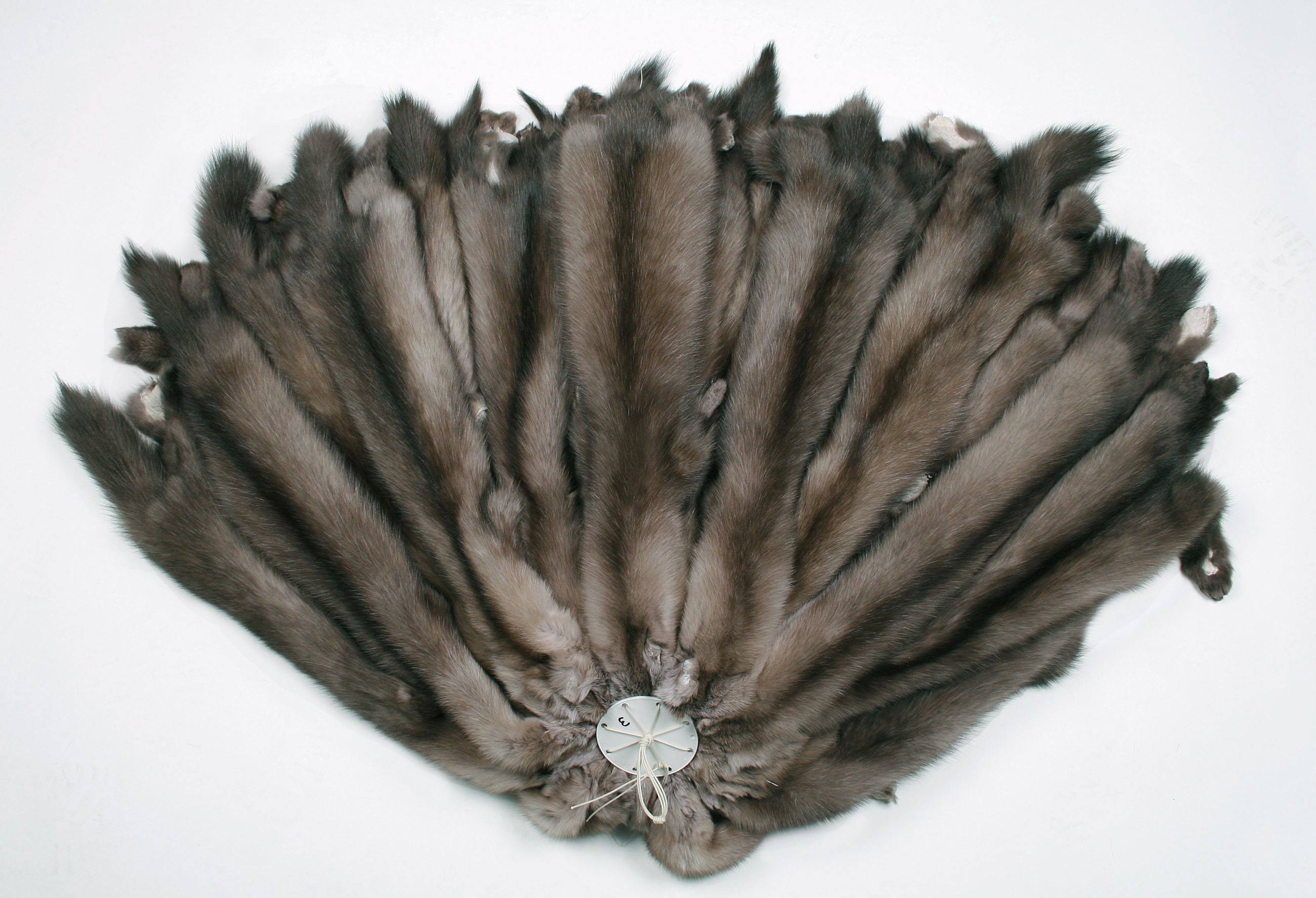 Russian-bargusin-sable-skins-156cdc29455f10