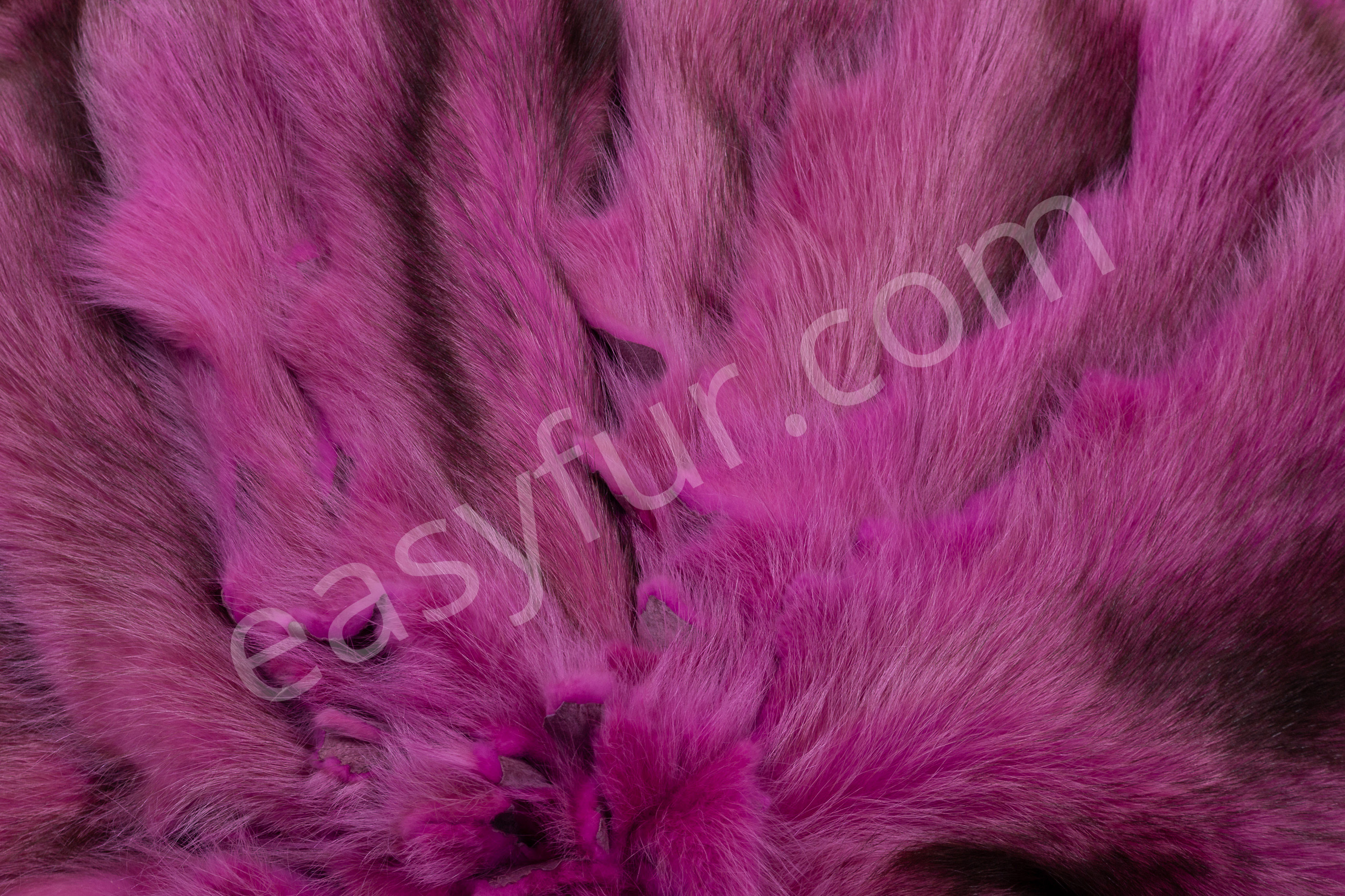 8-6036-Waschbaer-Felle-pink-Raccoon-Skins