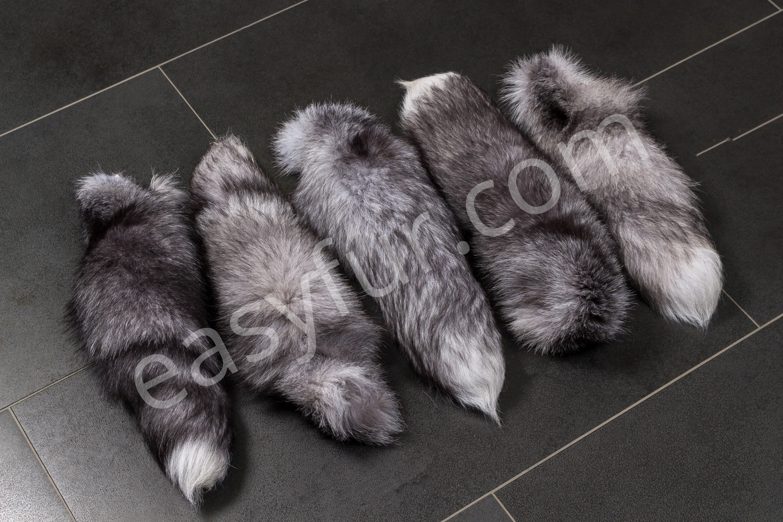 4-5741-Blue-Frost-Fox-Tails-Fuchsschweife-EasyfurJMmTfkqTzvK3C