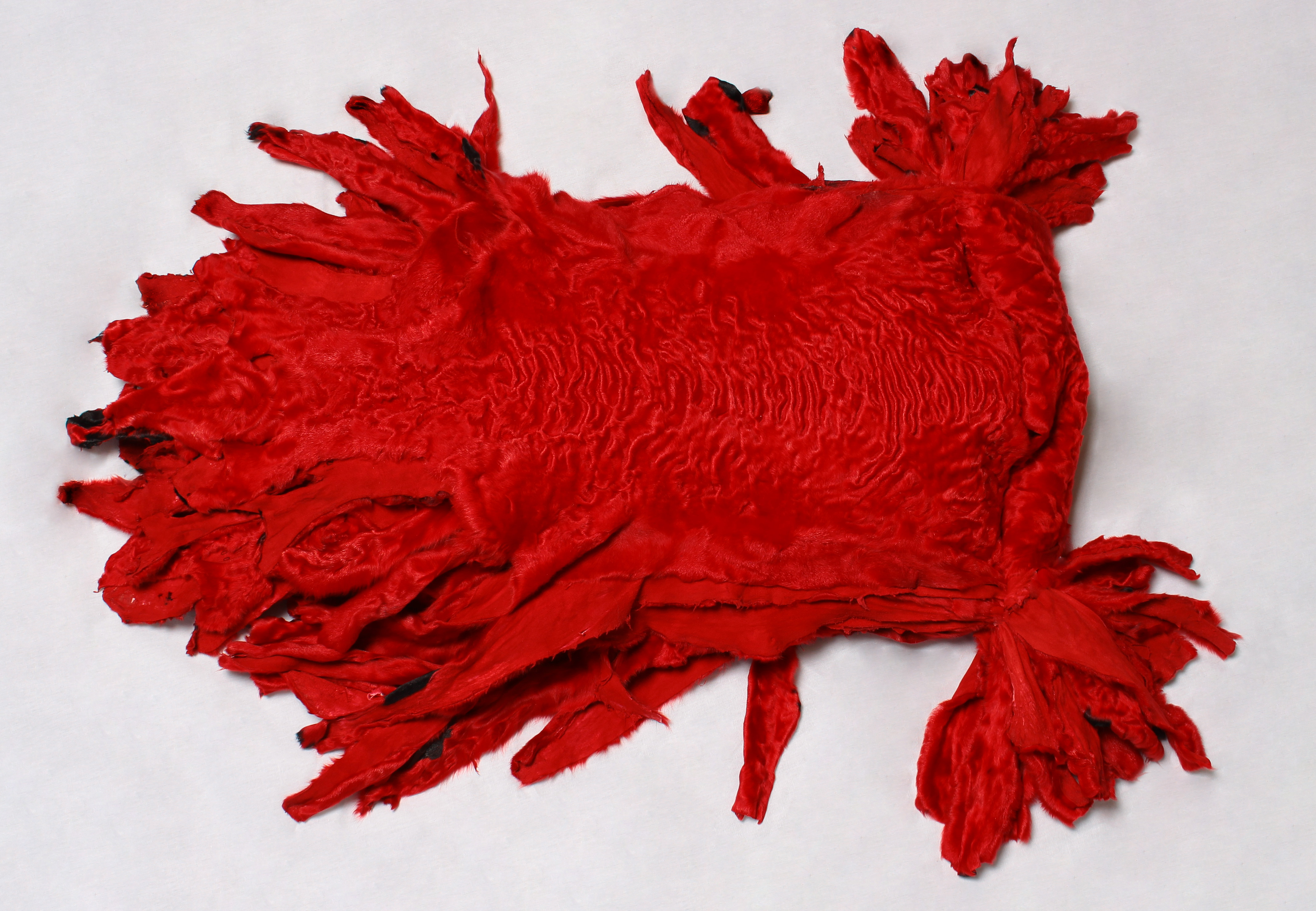 Persian Lamb Skins - SWAKARA - red Persian Lamb Skins - SWAKARA - red