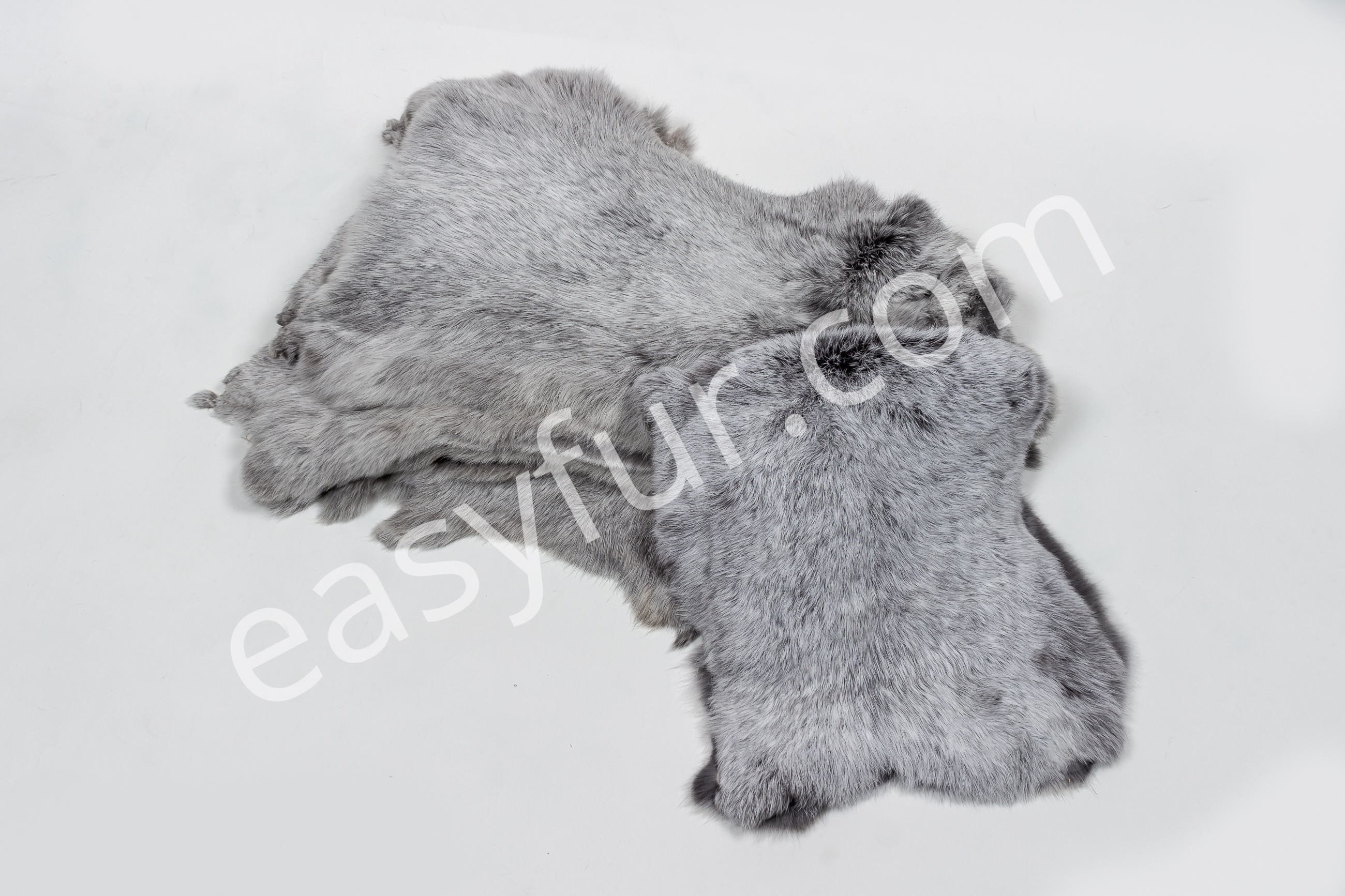 2-2419-Helle-Grosssilber-Kaninchen-Felle-Light-Silver-Rabbit-SkinsZSG8EuADqn4N1