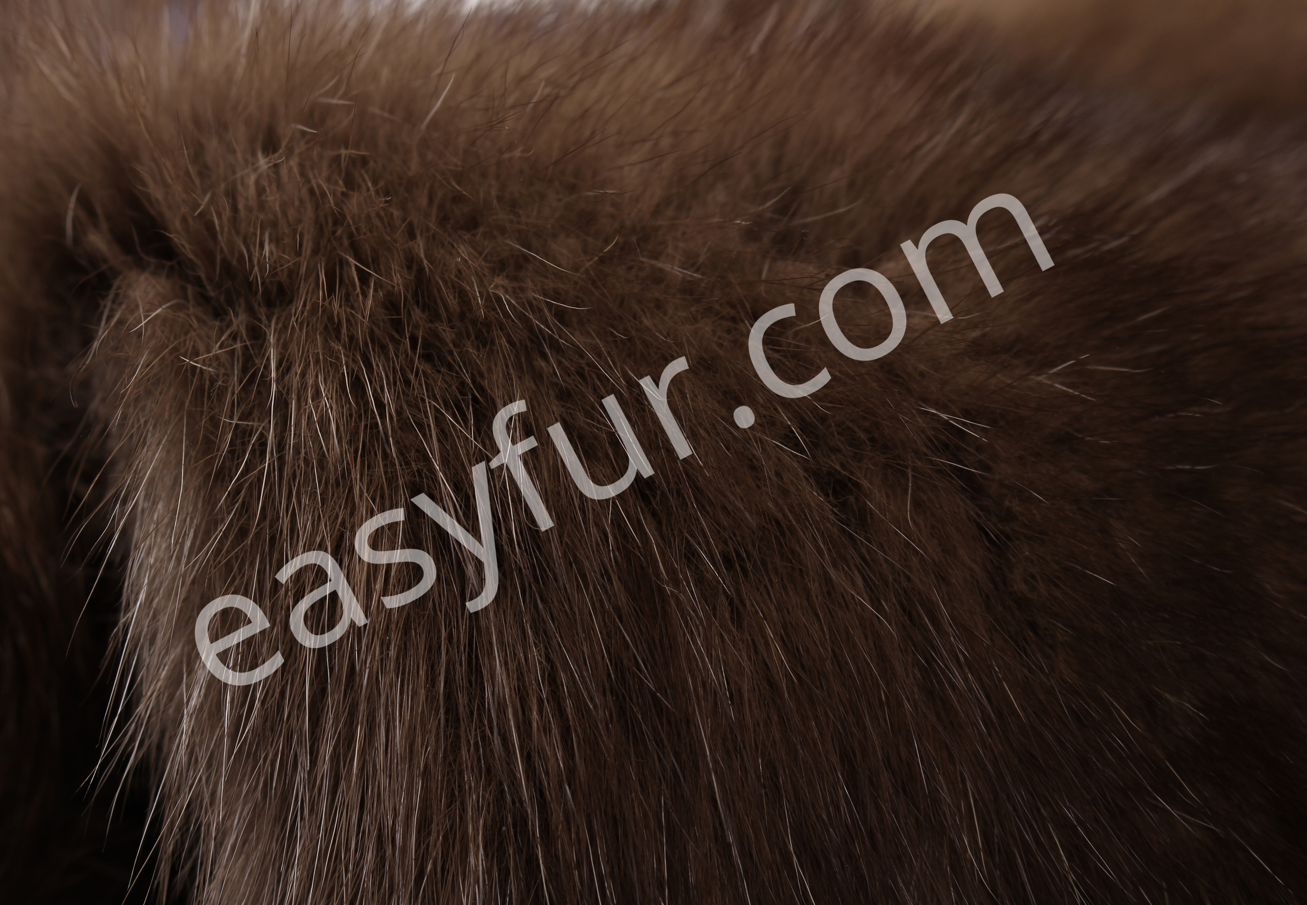 04-5492-Russian-Bargusin-Sable-Skins-easyfur