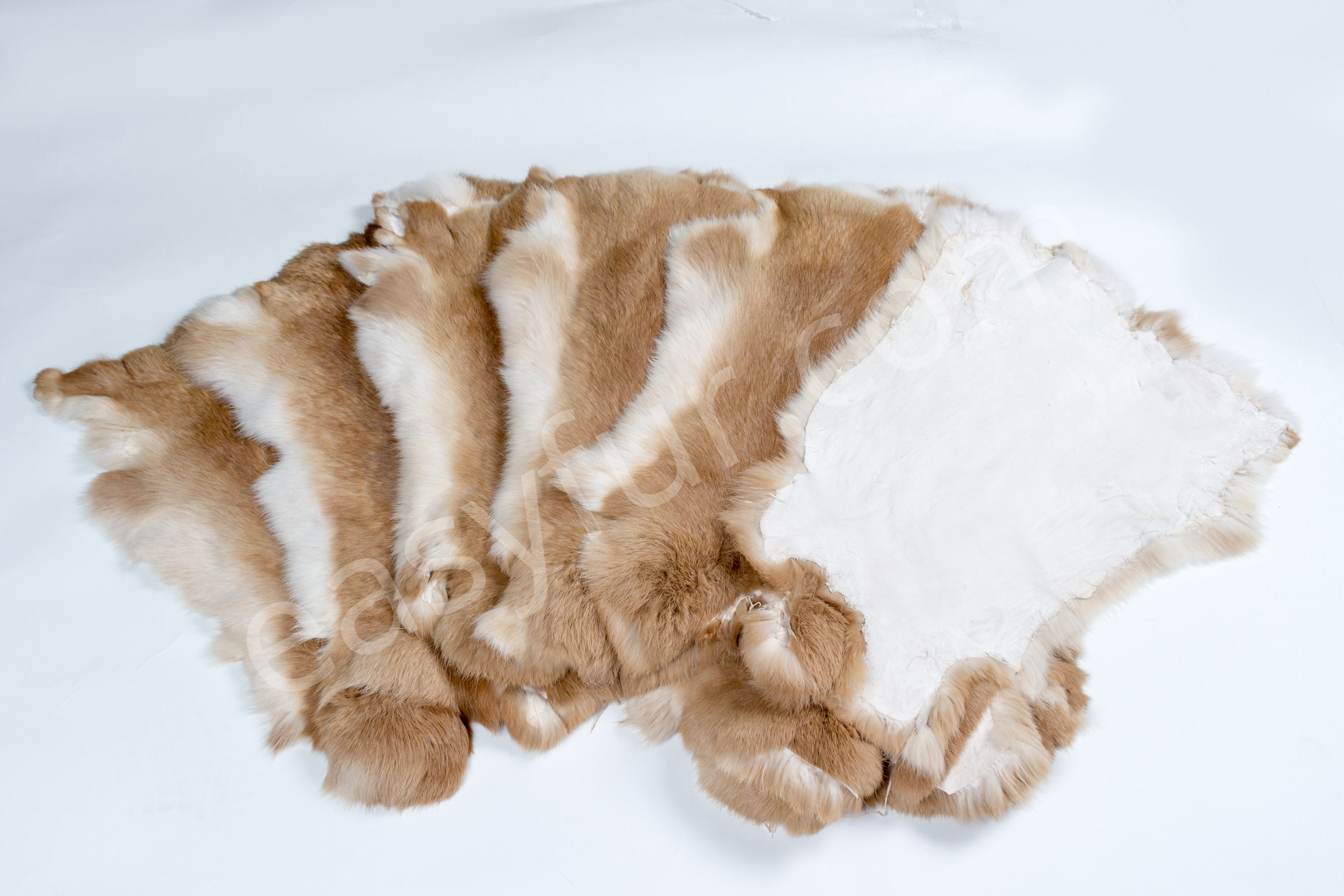 4-1980-Rabbits-Ginger-Kaninchen-Felle