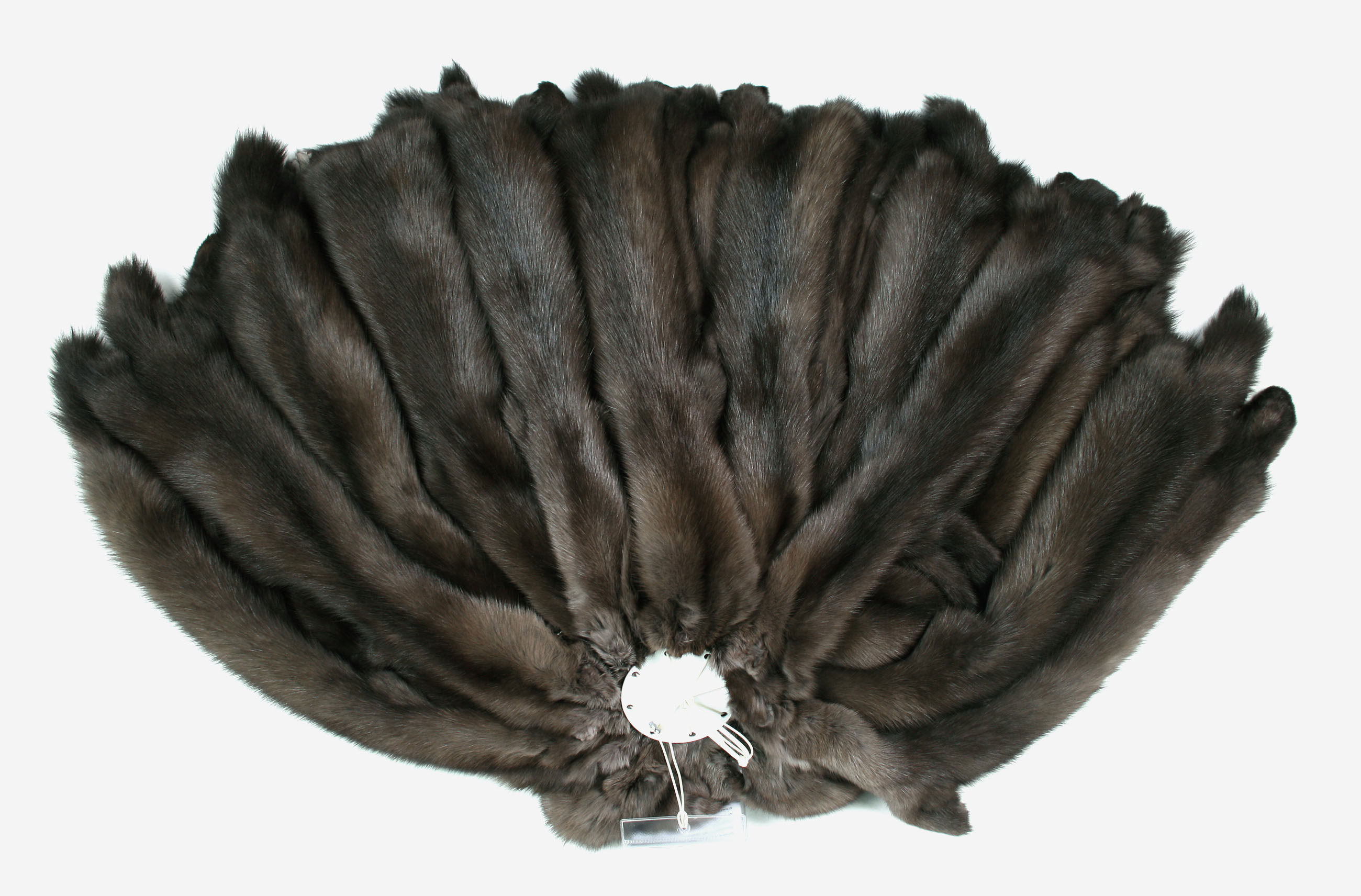 dark-russian-sable-skins-156d45fc4556d9