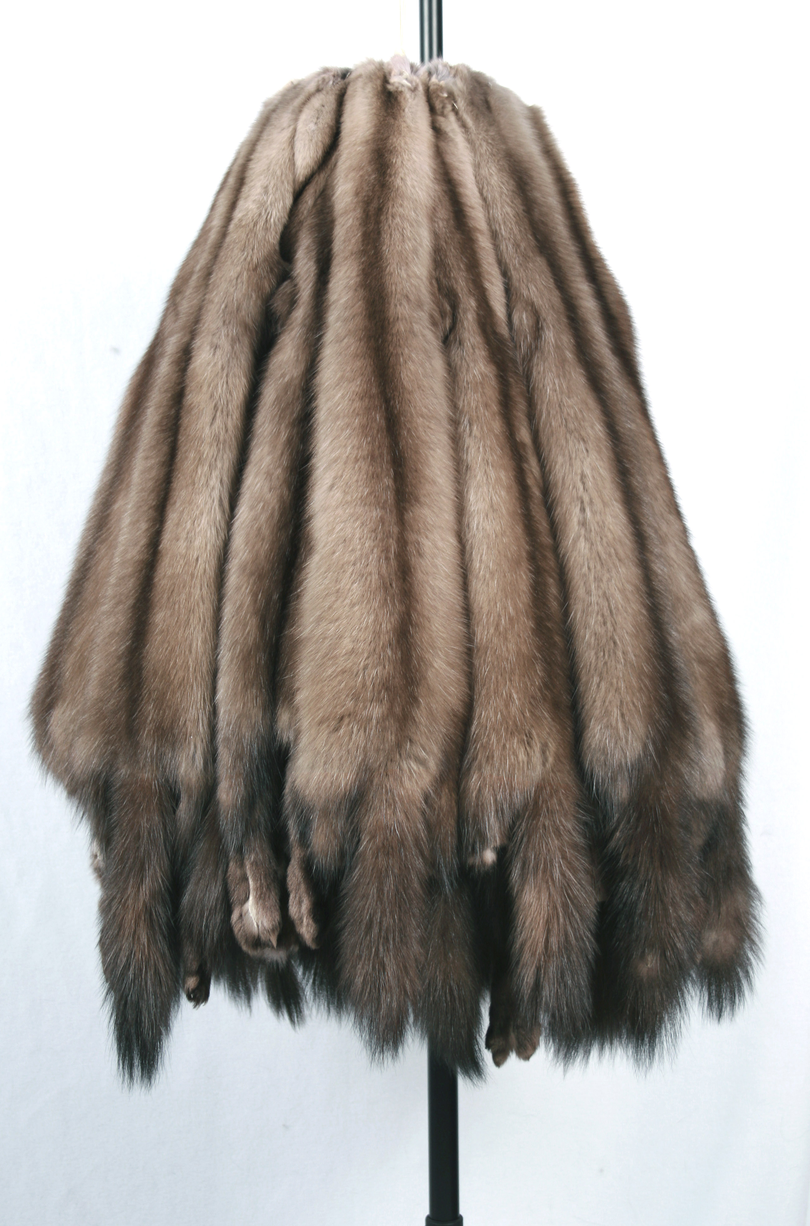 bright-barguzin-sable-skins-russia-4