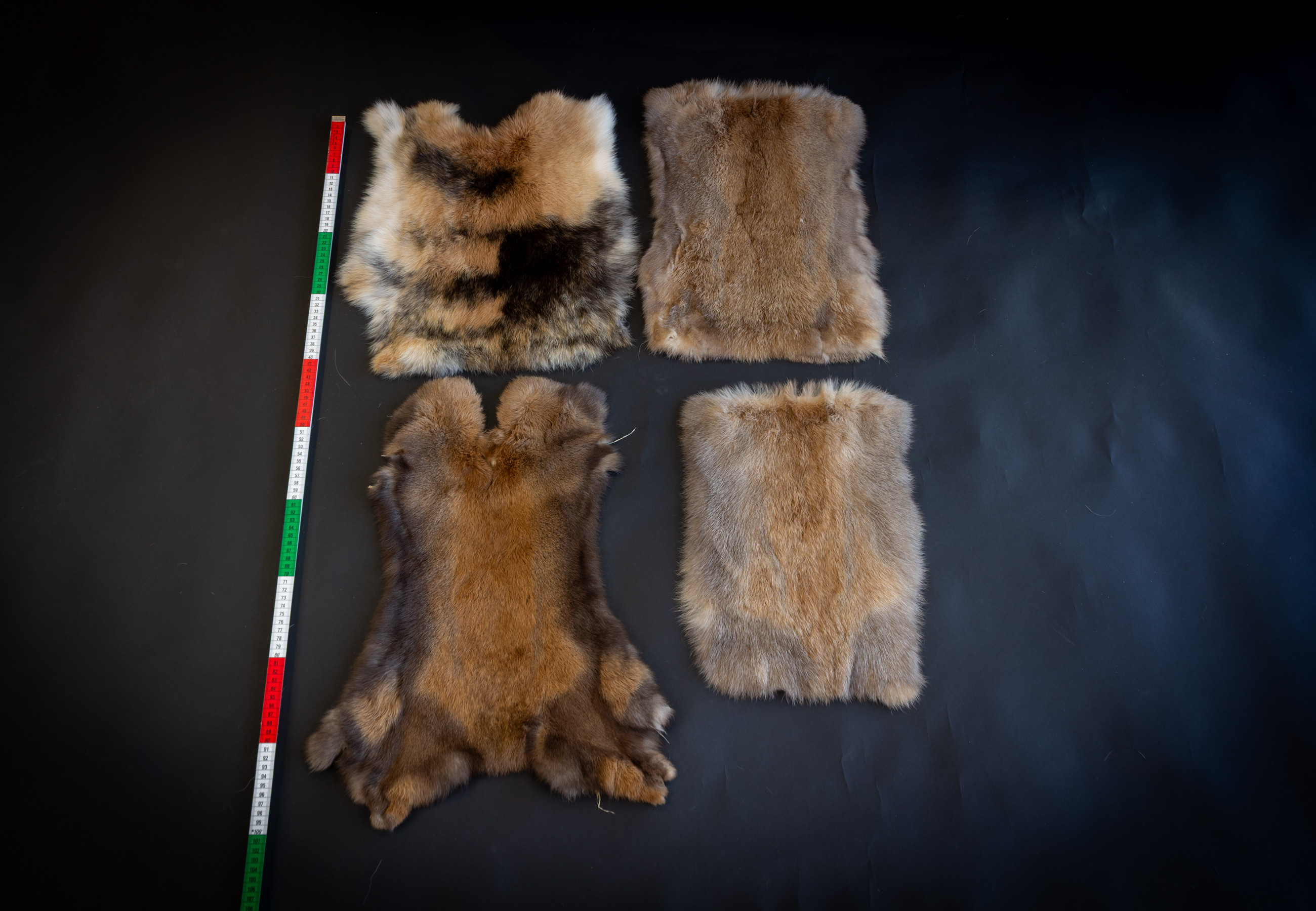 Tanned rabbit skins in natural colours Tanned rabbit skins in natural colours