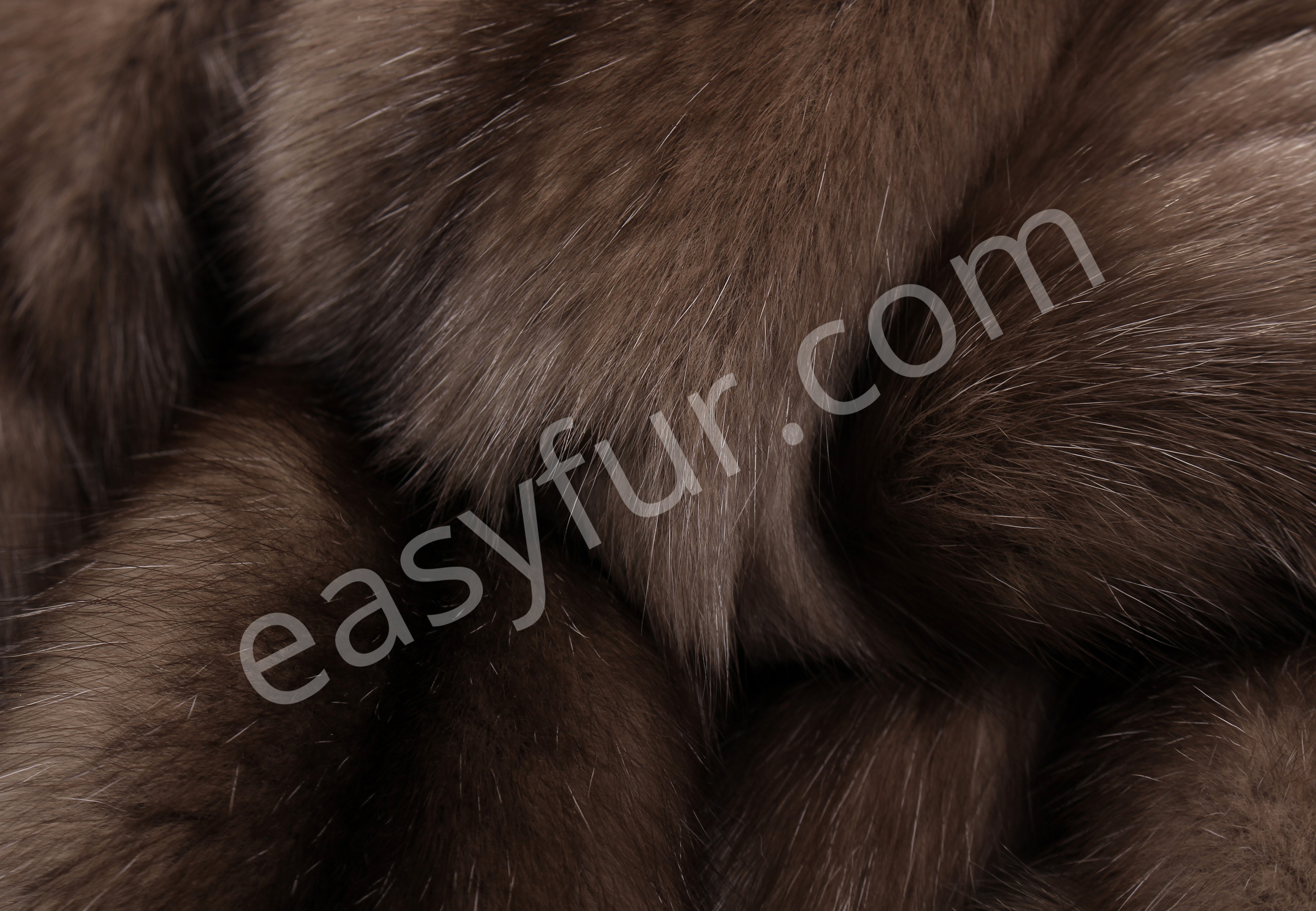 05-5489-Russian-Bargusin-Sable-Skins-Tortora