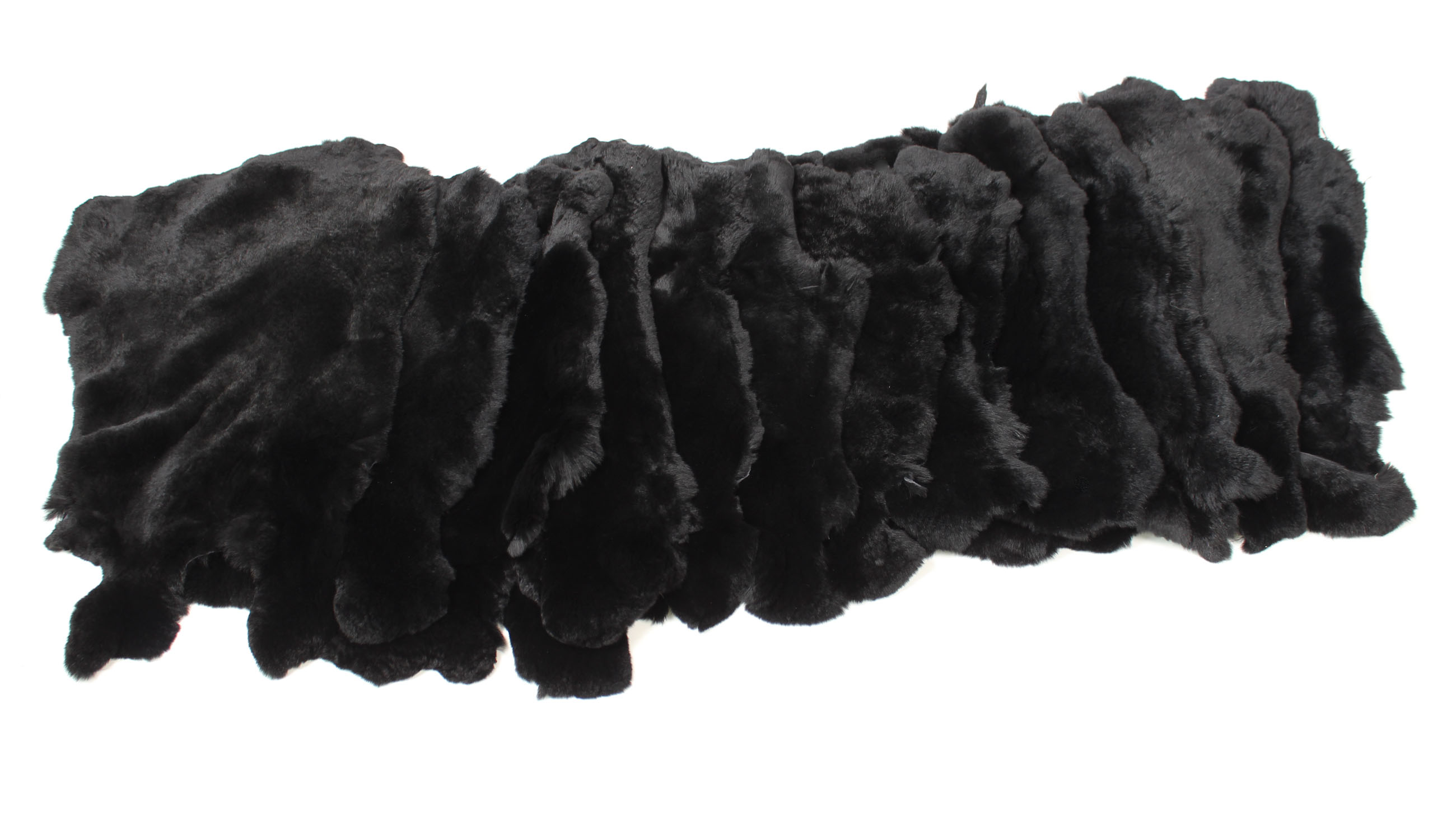 6-Rex-Rabbit-skins-black