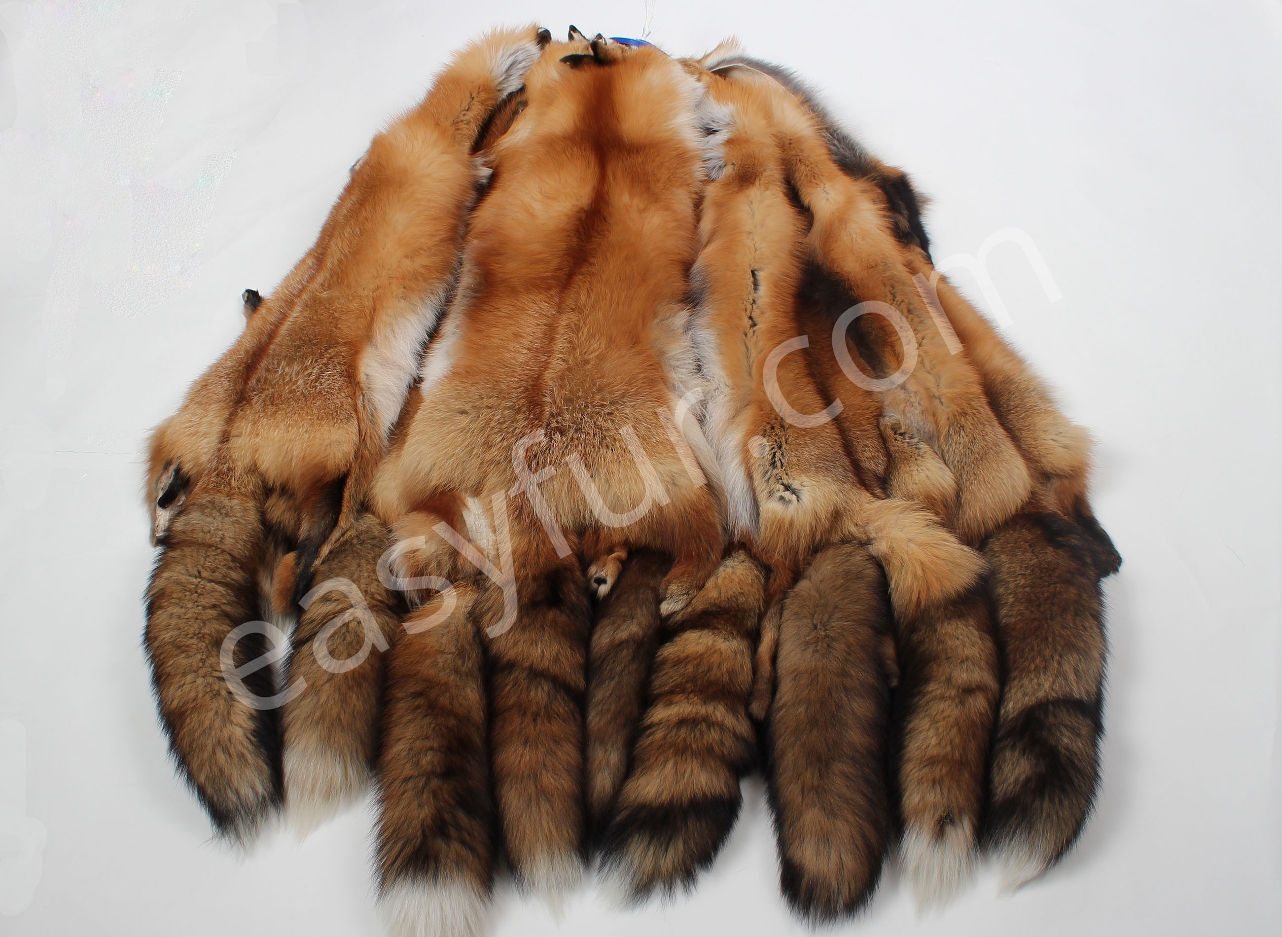 1-Canadian-Red-Fox-Skin-Pelt-NAFA Kanadische Rotfuchsfelle