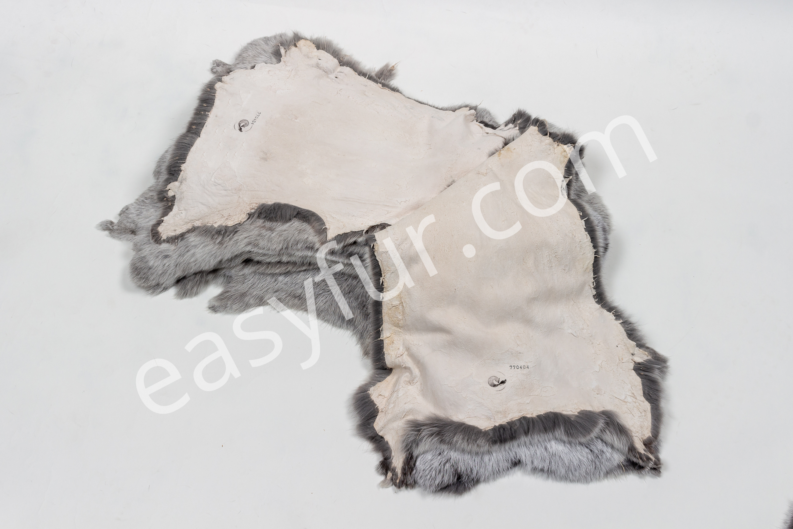 4-2419-Helle-Grosssilber-Kaninchen-Felle-Light-Silver-Rabbit-SkinsogEE6G0mLQpQ5