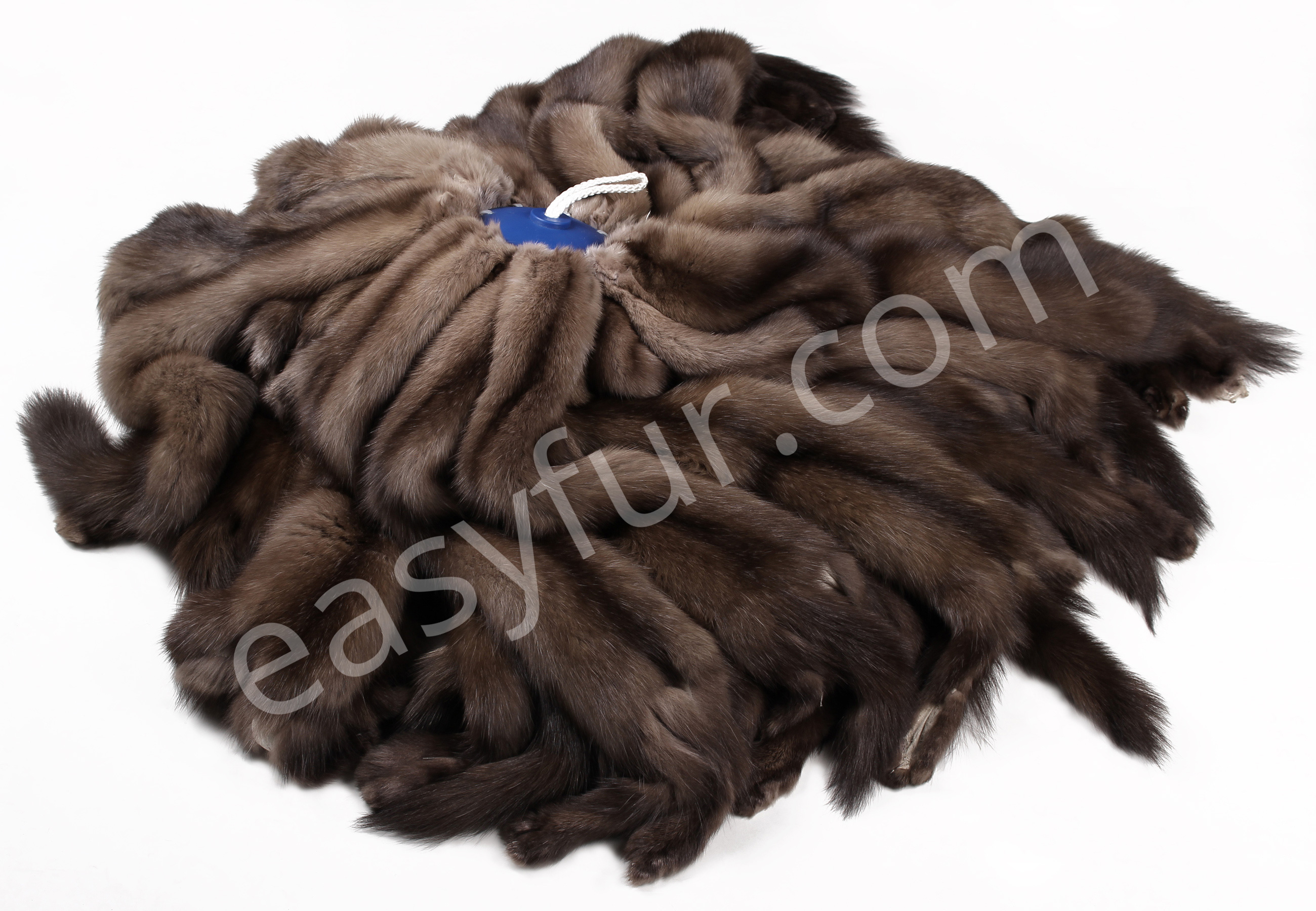 01-5489-Russian-Sable-Skins-Tortora