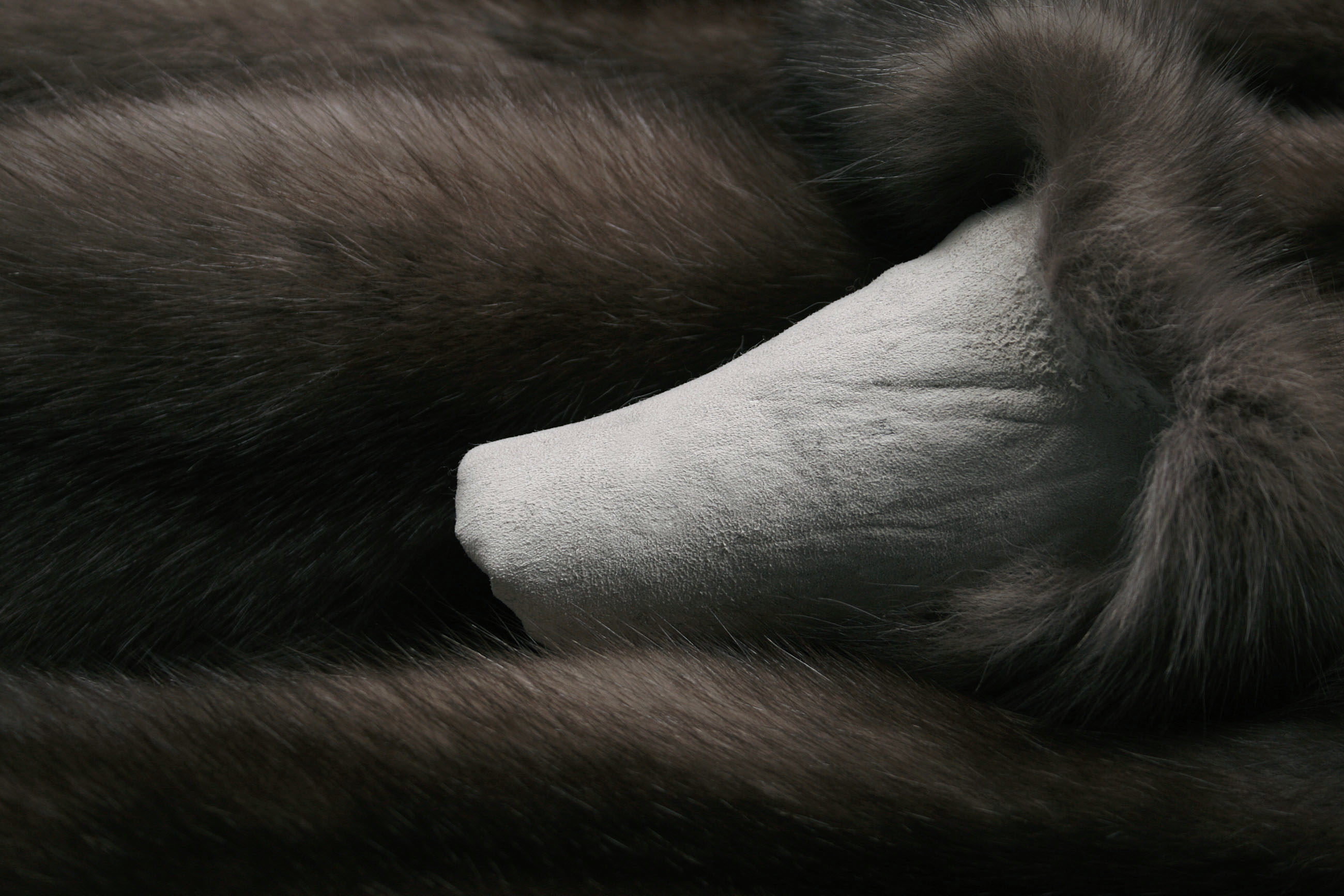 Russian-bargusin-sable-skins-4