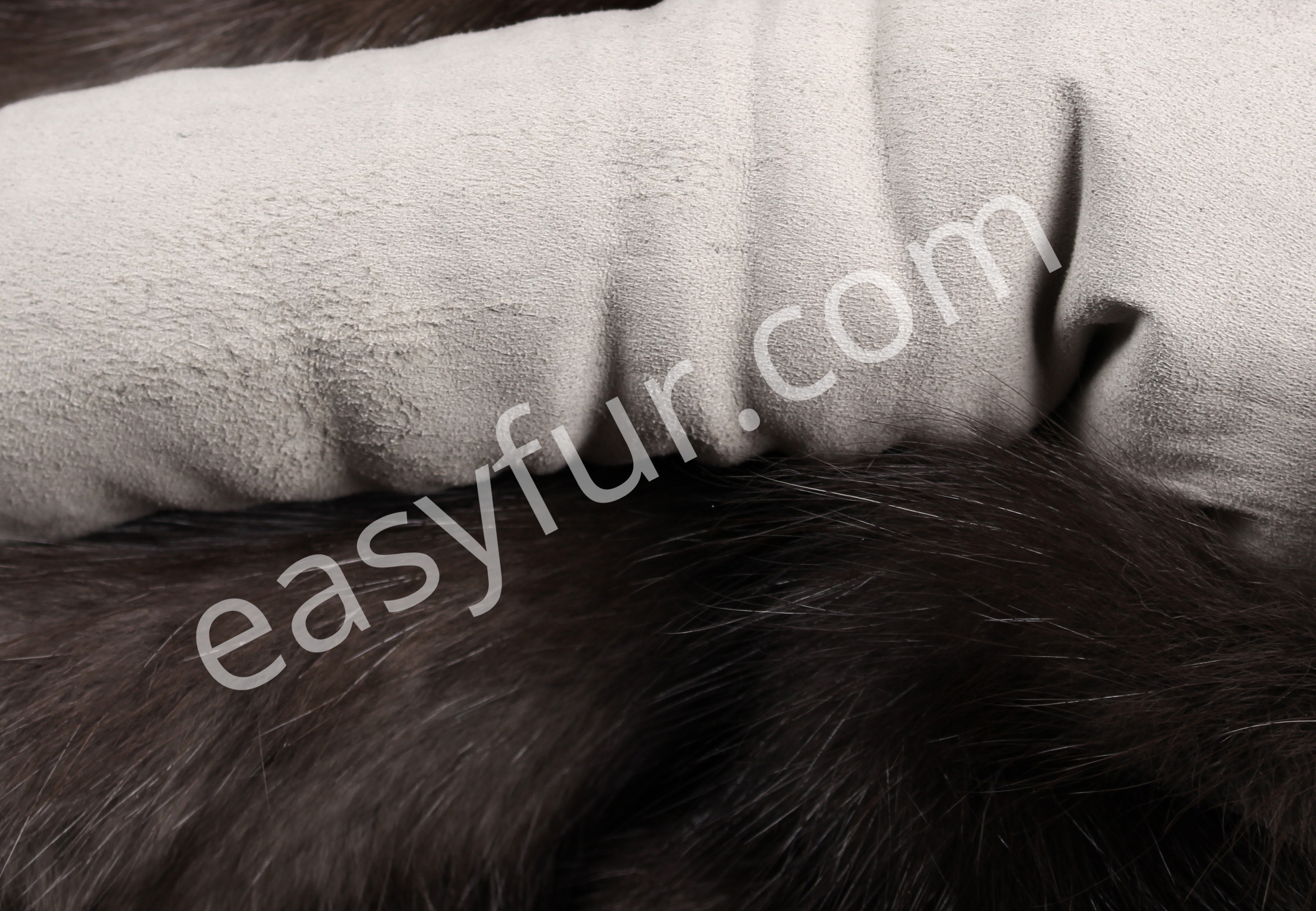 05-5495-Russian-Sable-Skins-Titanio-easyfur