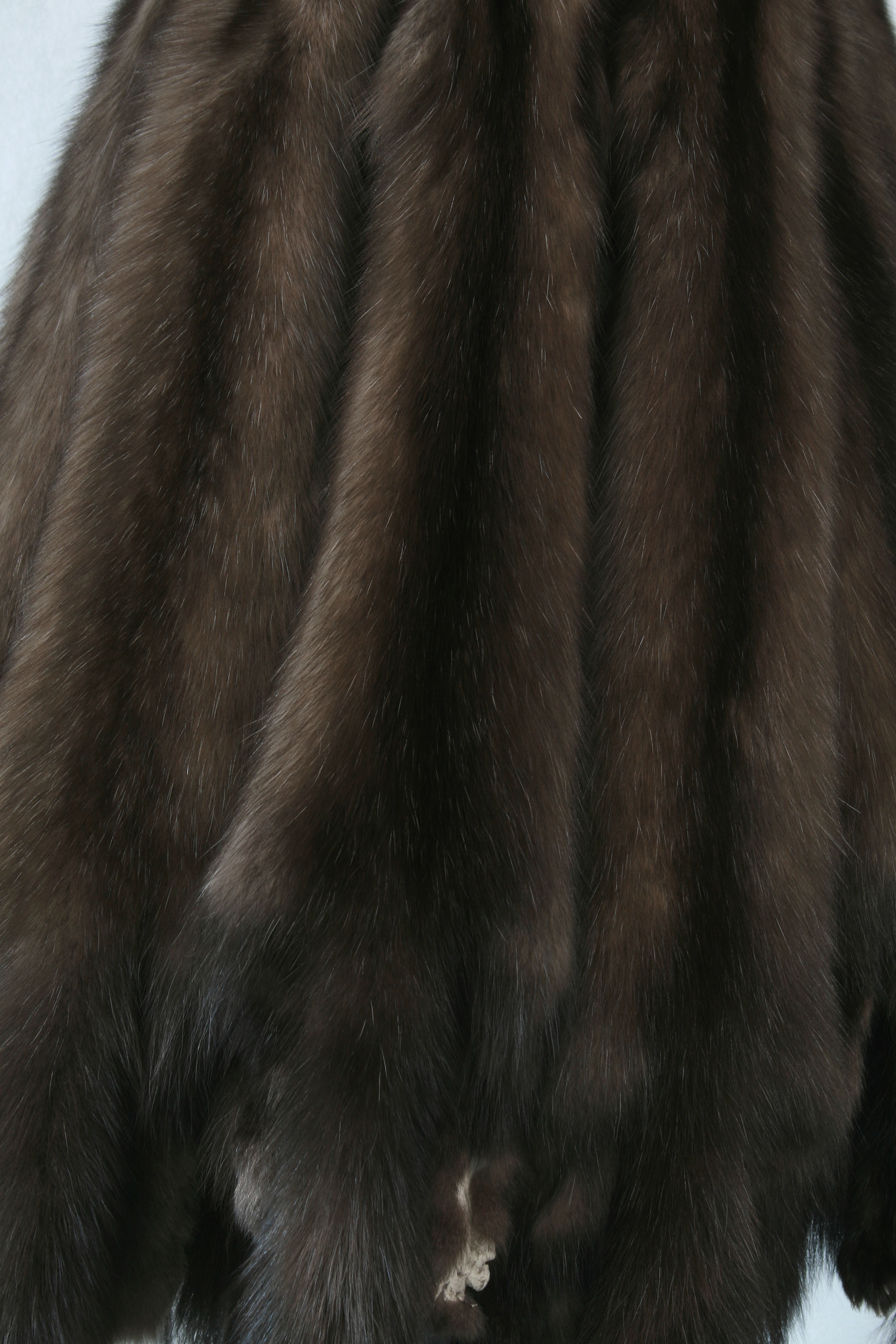 russian-sable-skins-2