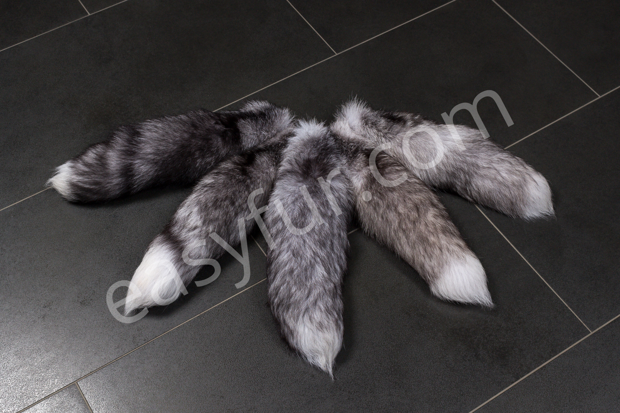 3-5741-Blue-Frost-Fox-Tails-Fuchsschweife-EasyfuruoUNlhcIboneE