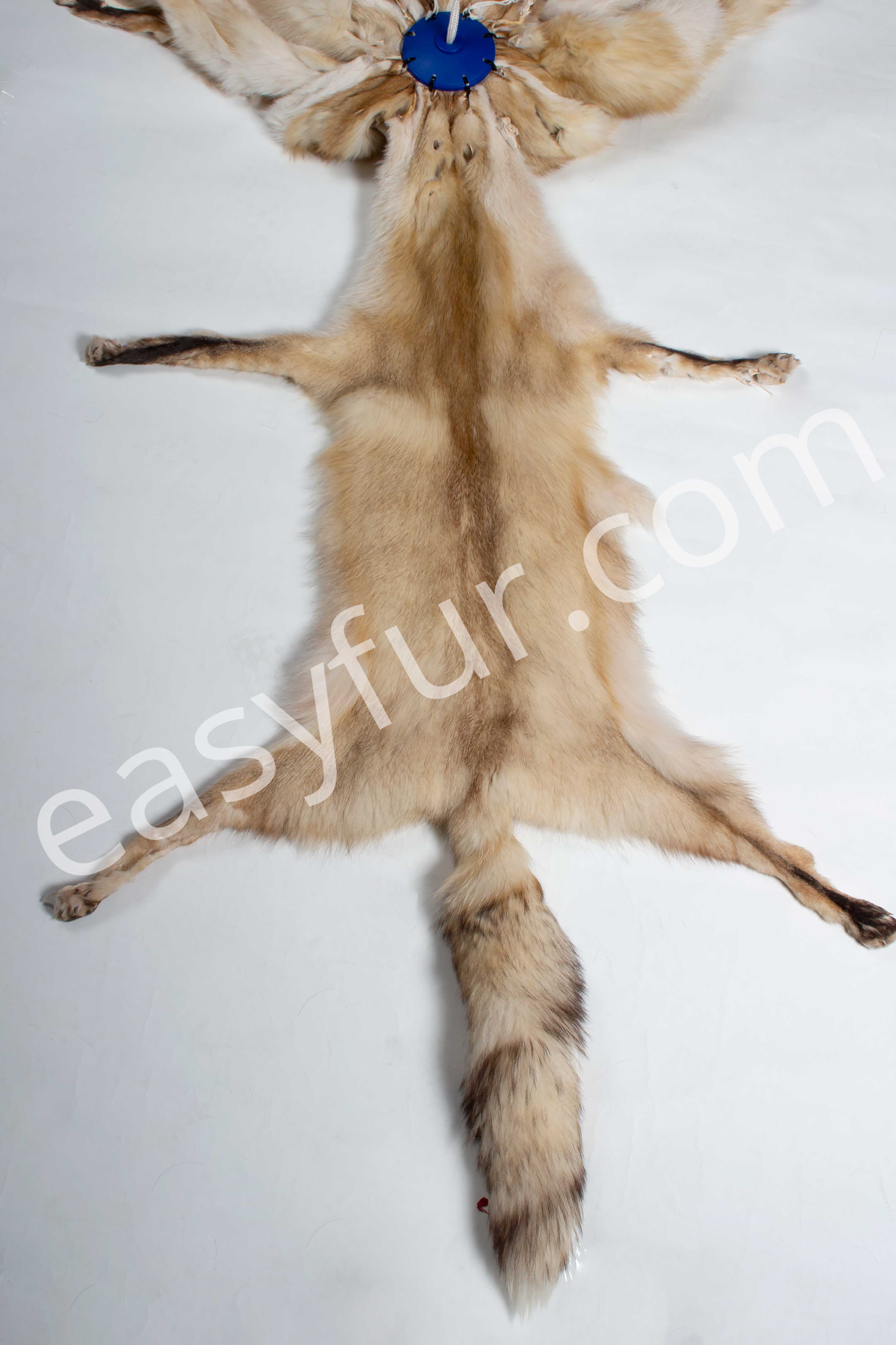 4-3050-Europaeische-Rotfuchsfelle-Creme-European-Red-Fox-Skins-Easyfur-Lars-Paustian