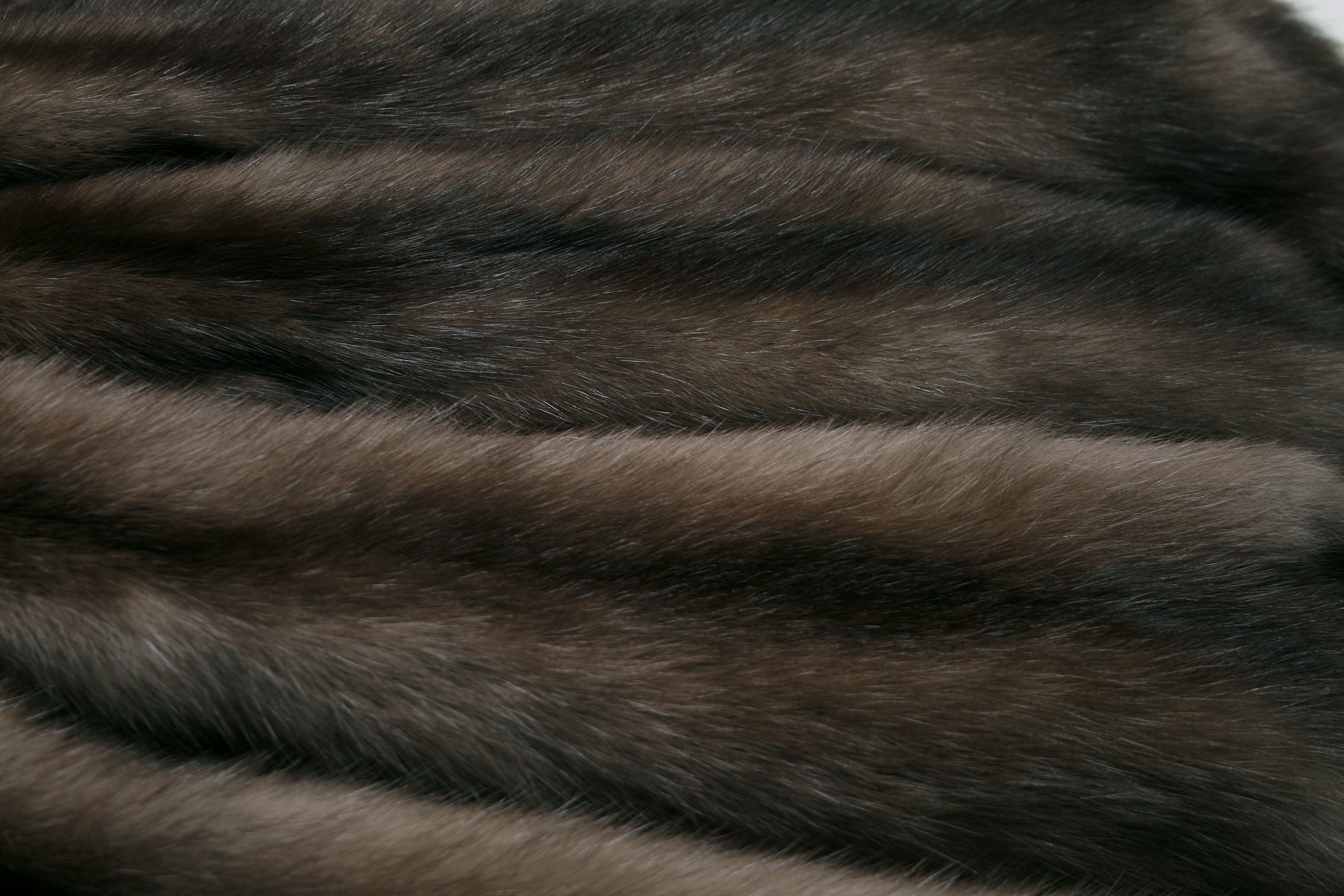 russian-sable-skins-556cb28c4f0f33