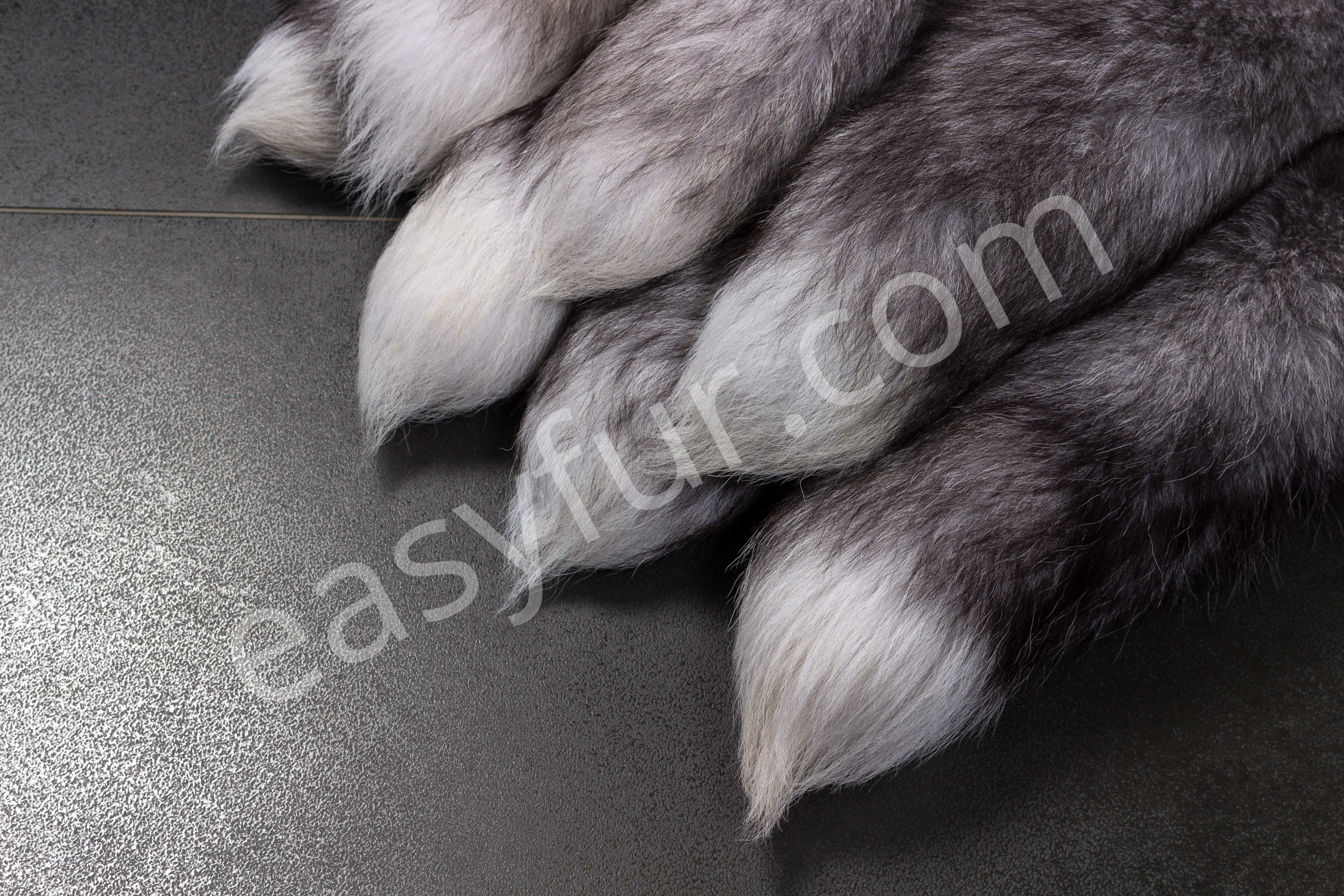 5-5741-Blue-Frost-Fox-Tails-Fuchsschweife-Easyfurx3WUoWU9aLA4V