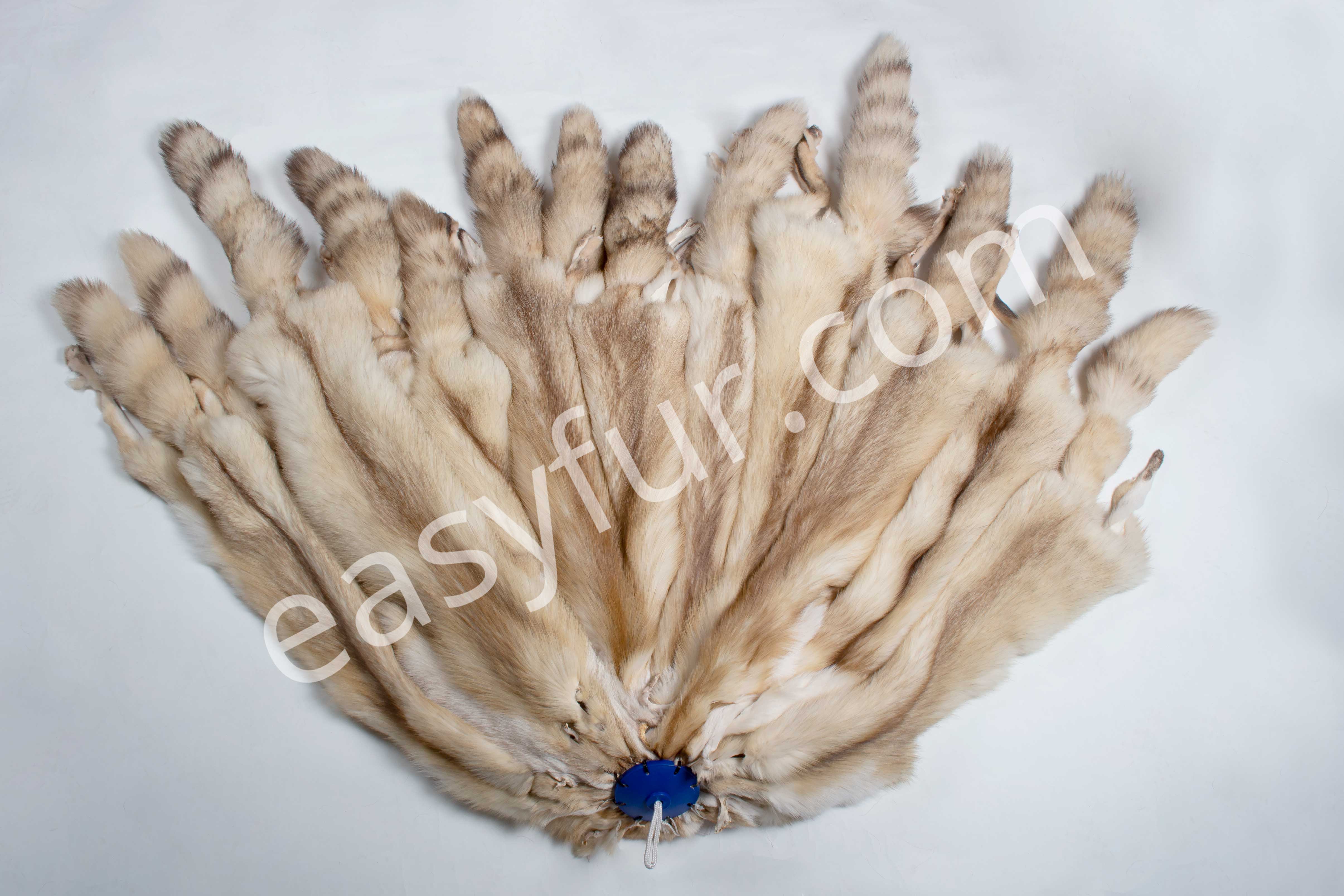 1-3050-Europaeische-Rotfuchsfelle-Creme-European-Red-Fox-Skins-Easyfur-Lars-Paustian