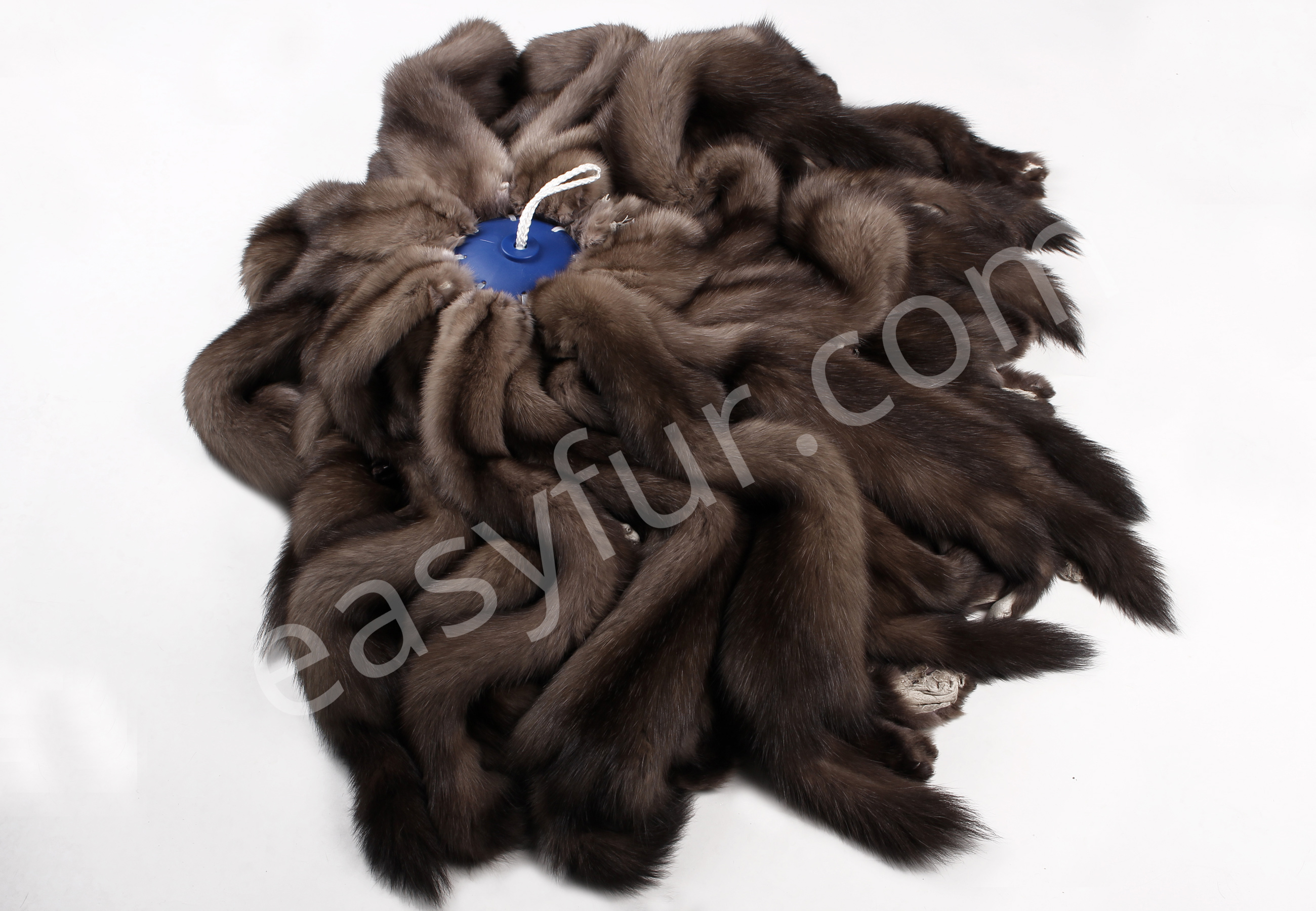 02-5489-Zobel-Felle-Tortora-echtpelz