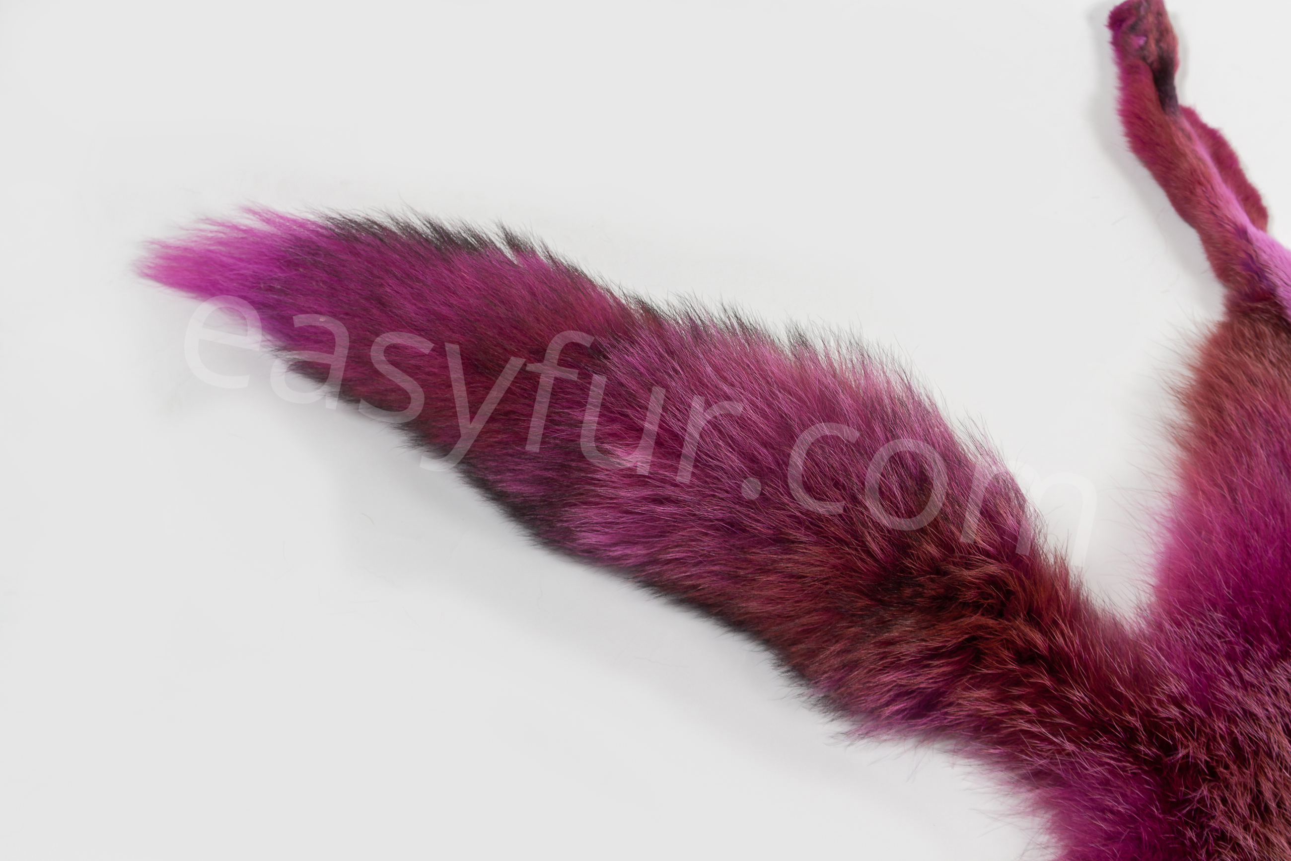 6-6038-Europaeische-Rotfuechse-pink-European-Red-Foxes