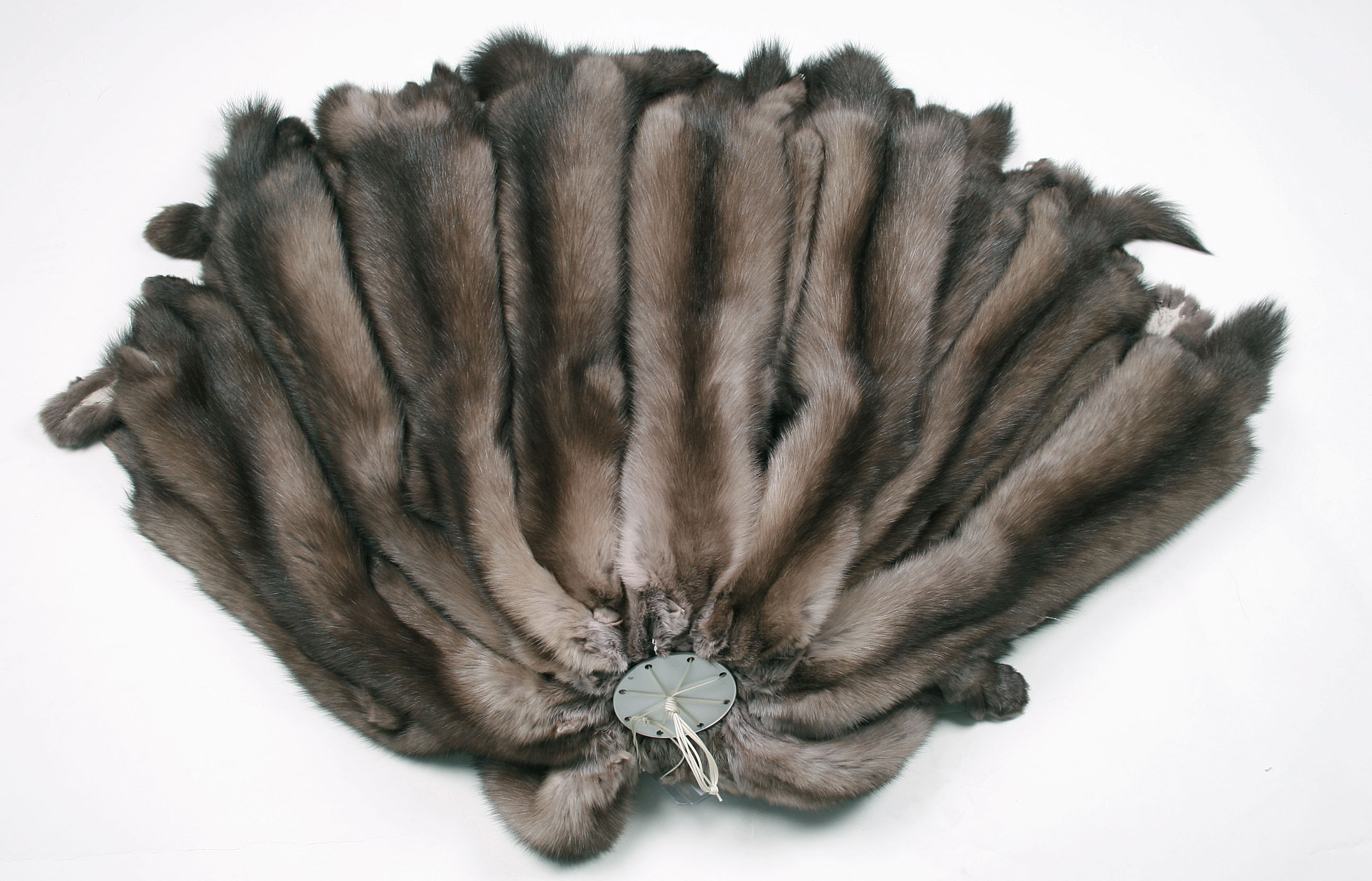 russian-sable-skins-156cb28abe6b4a Exklusive Zobelfelle aus Russland mit Silverys