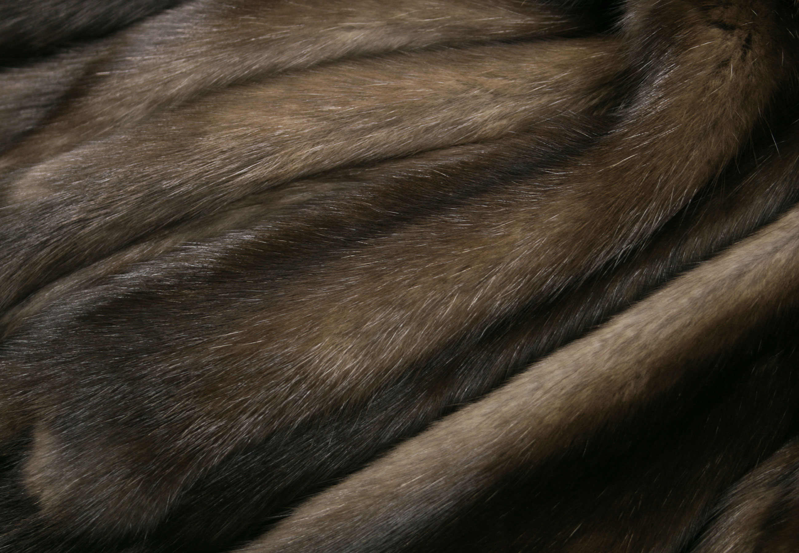 4-4969-Dark-sable-skins-Zobelfelle-Russland