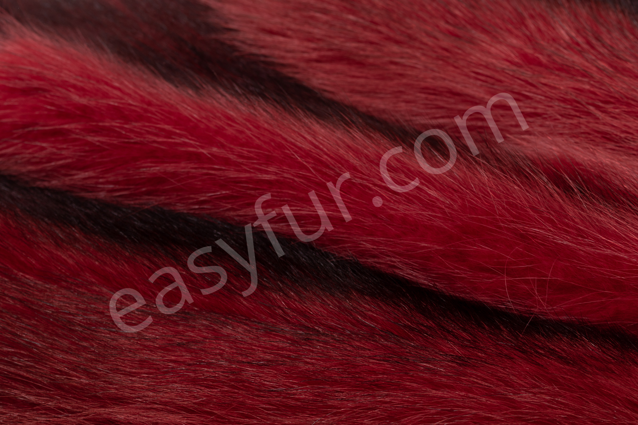 6-6037-Waschbaeren-ferrari-rot-raccoons-ferrari-red-easyfur
