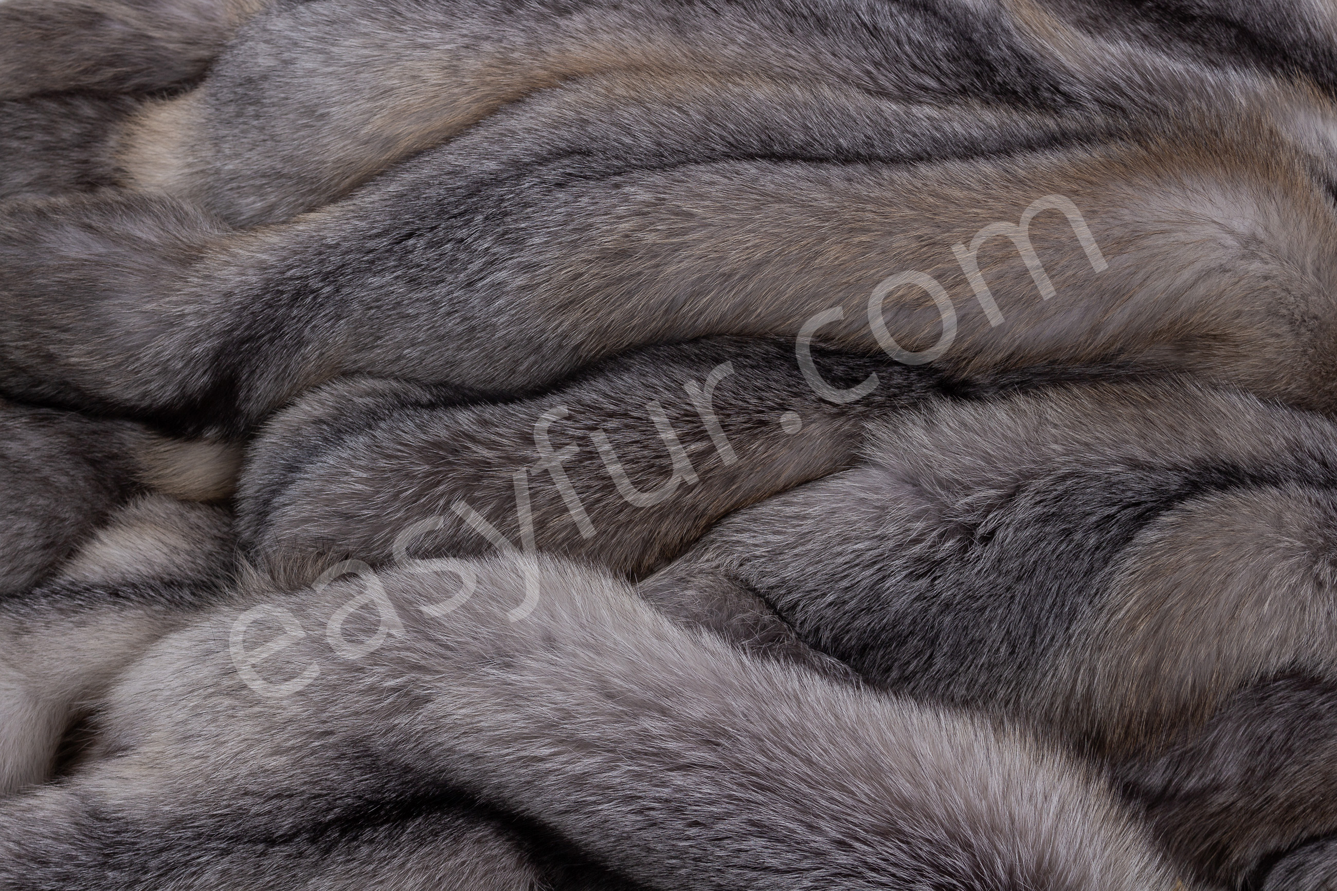 4-5670-Blue-Frost-Fuechse-Blue-Frost-Fox-Brown-Type