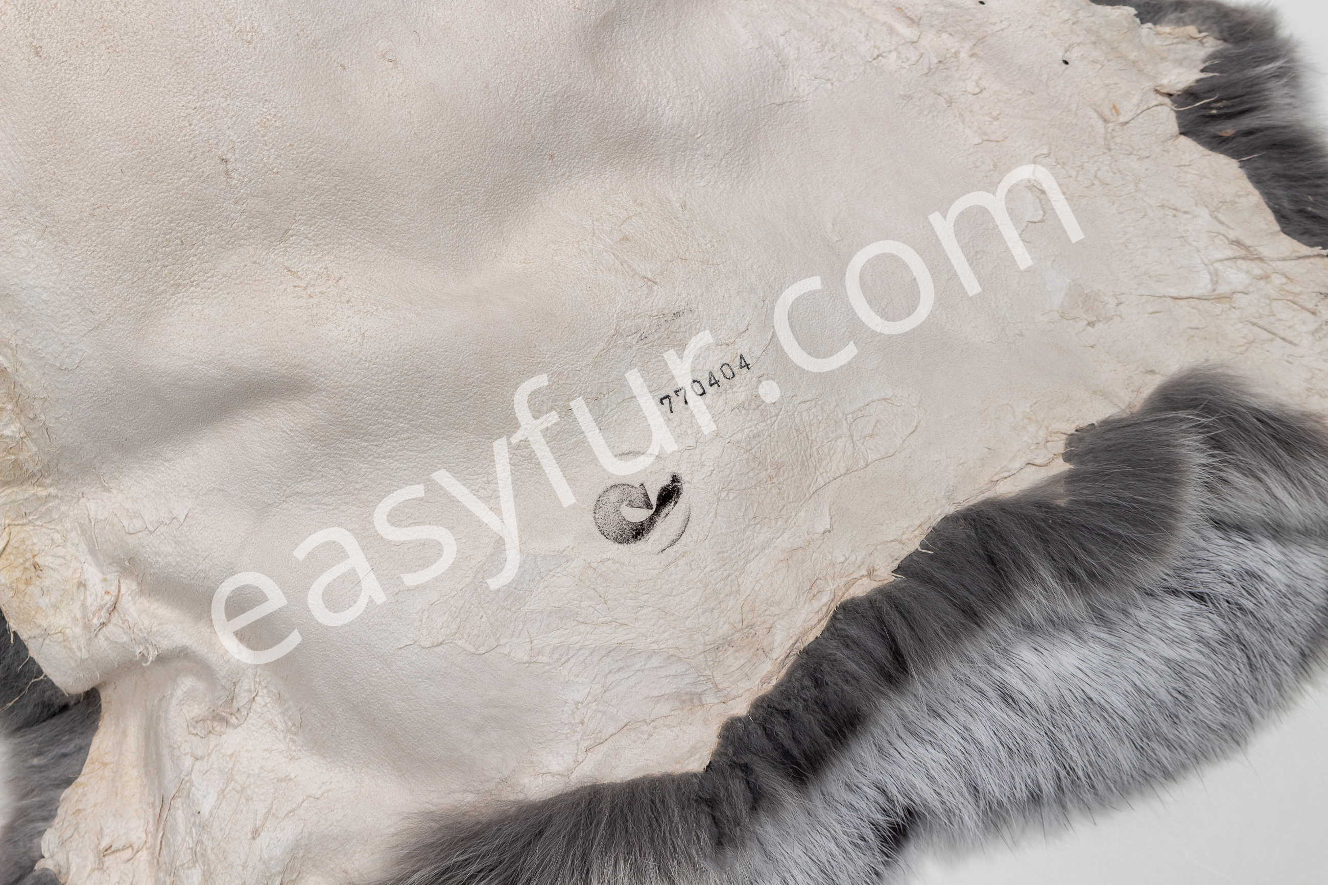 5-2419-Helle-Grosssilber-Kaninchen-Felle-Light-Silver-Rabbit-SkinsajQkrSfsQtJTr