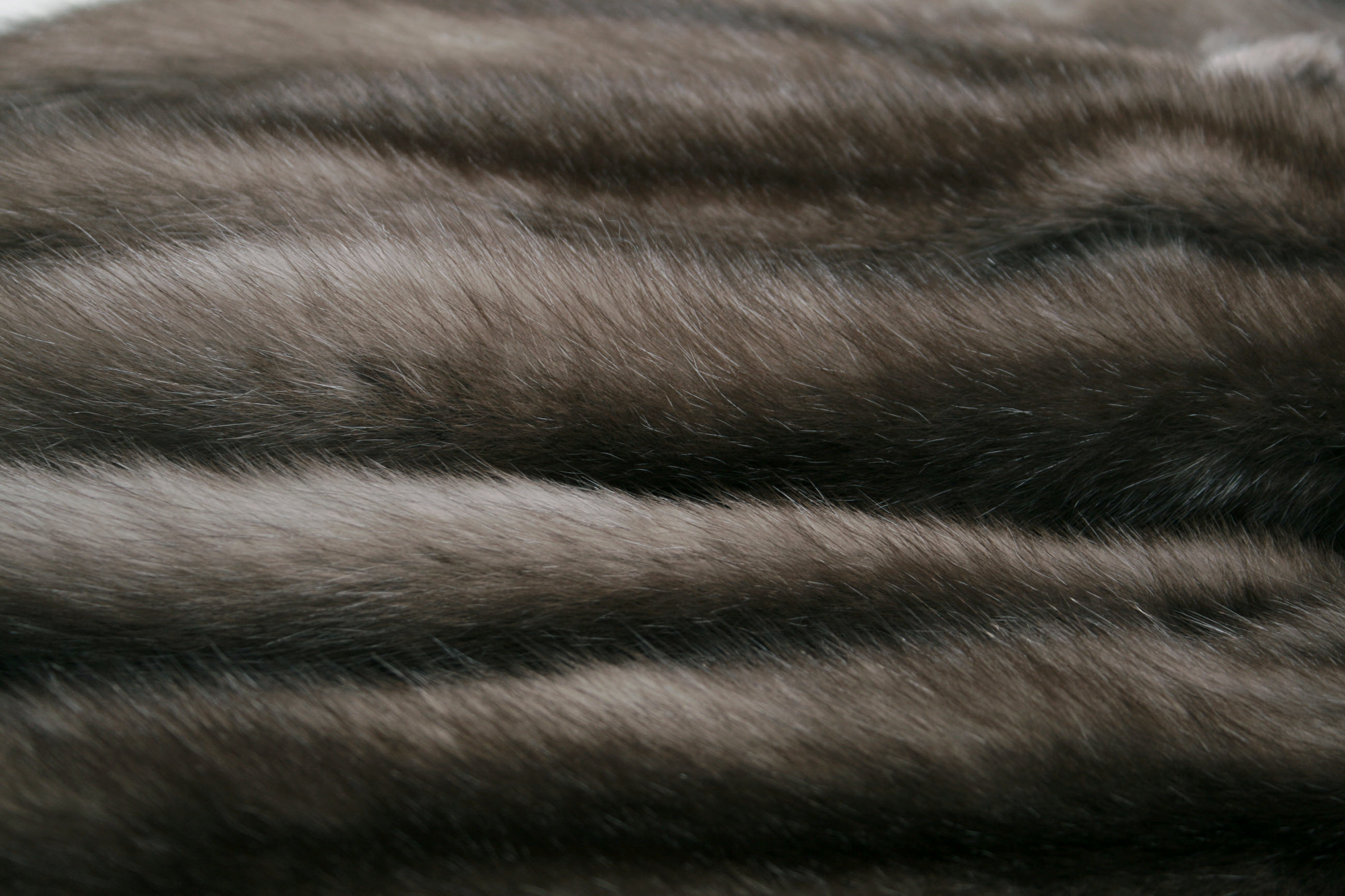 Russian-bargusin-sable-skins-3