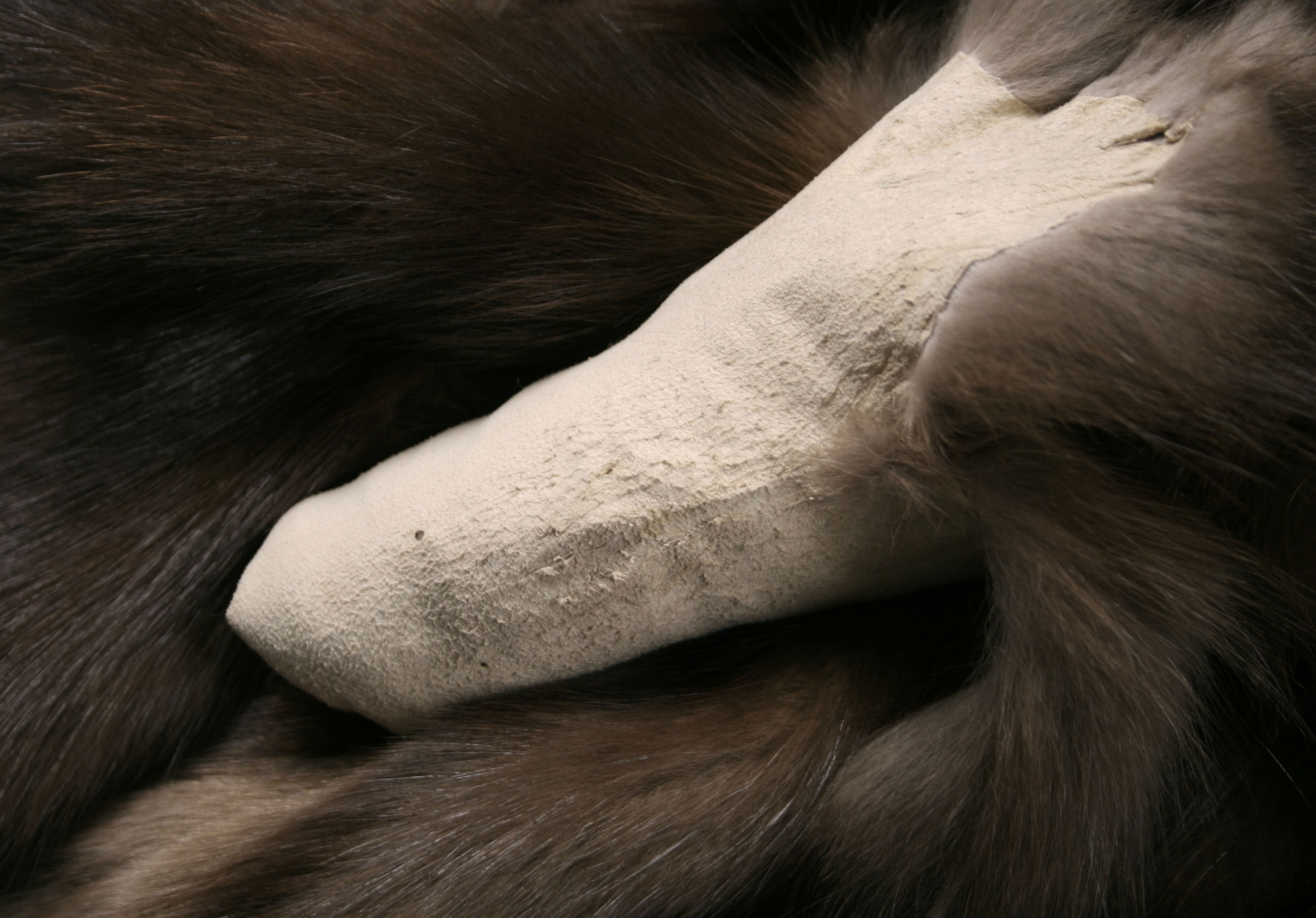 3-4970-Sable-skins-Barguzin-Sojuzpushnina-Zobelfelle