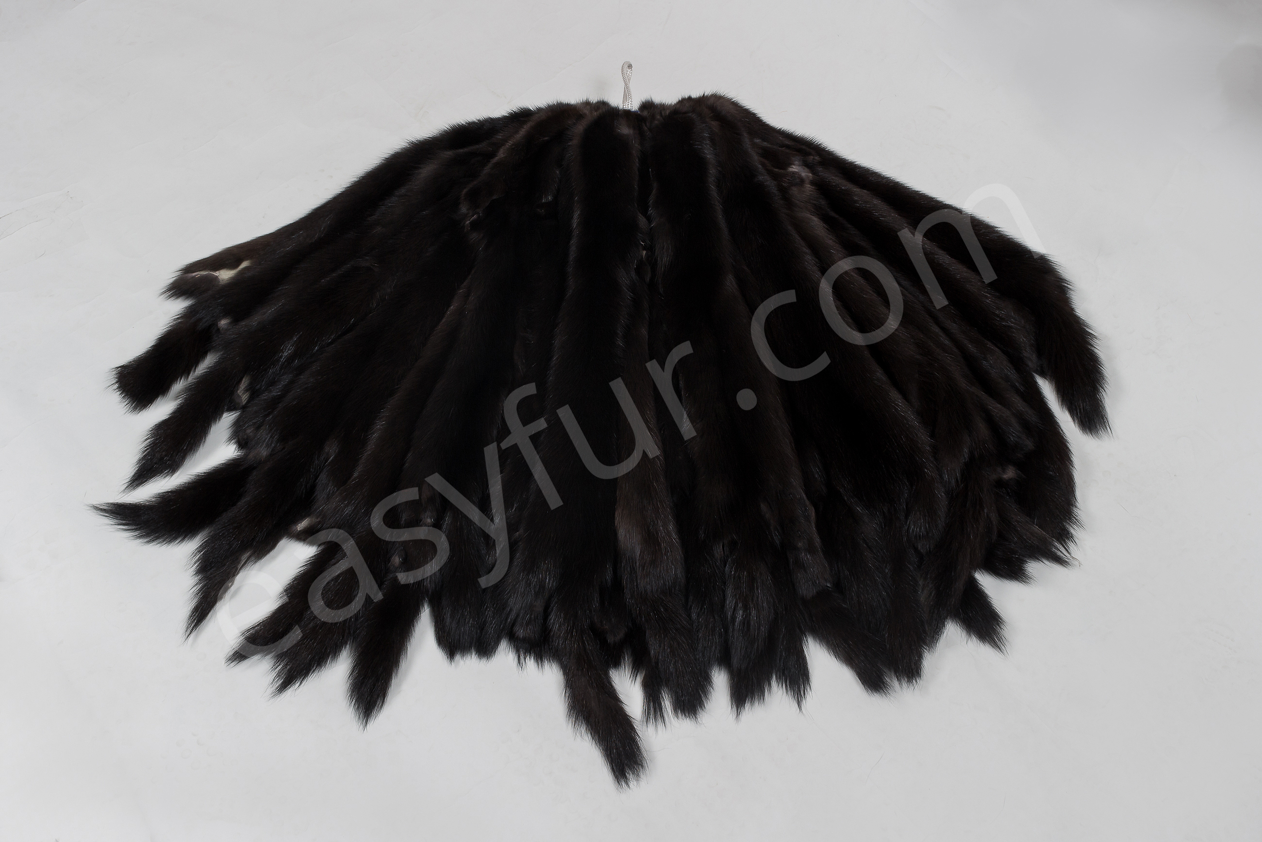 2-1850-Russische-Zobel-Felle-Russian-Sable-Skins-Easyfur