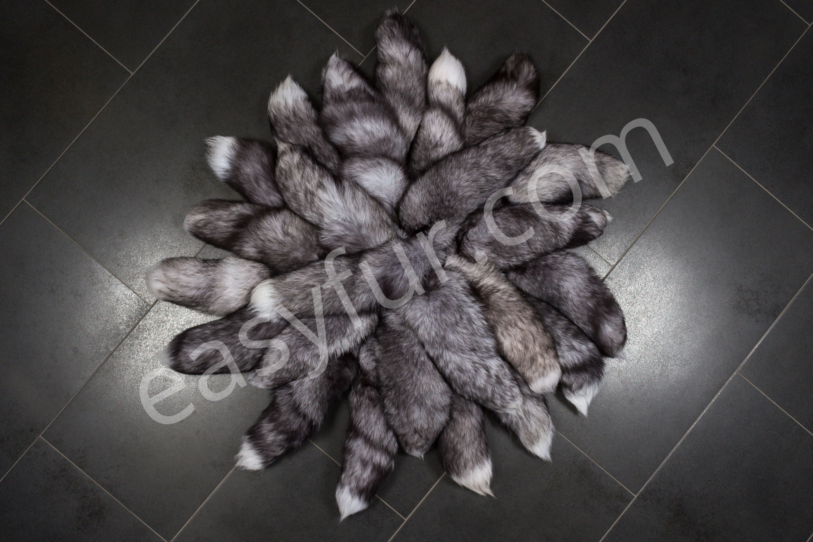 2-5741-Blue-Frost-Fox-Tails-Fuchsschweife-EasyfurpA1O2SLOh03VH