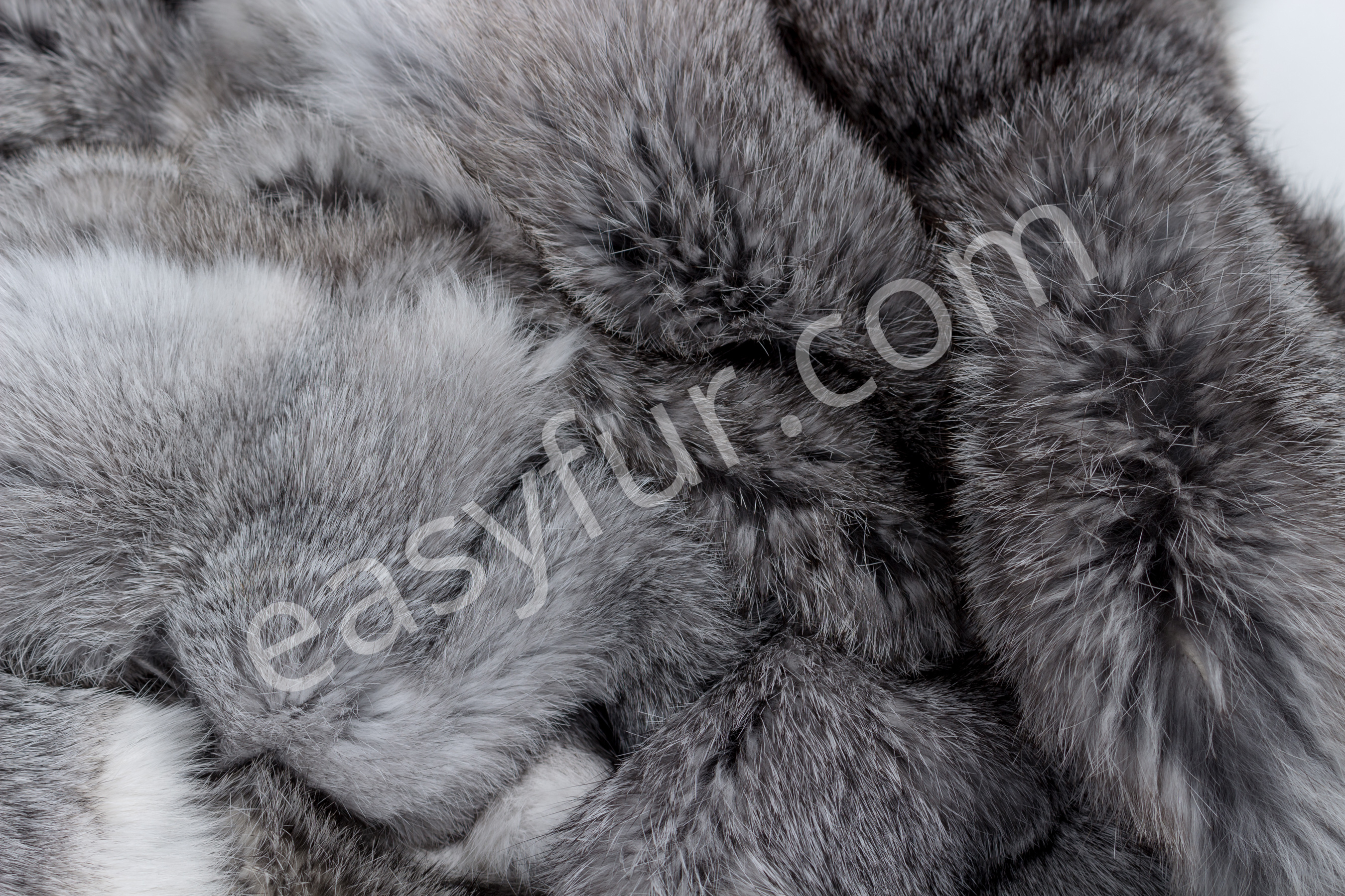 10-1978-Rabbit-Skins-Chinchilla-Style