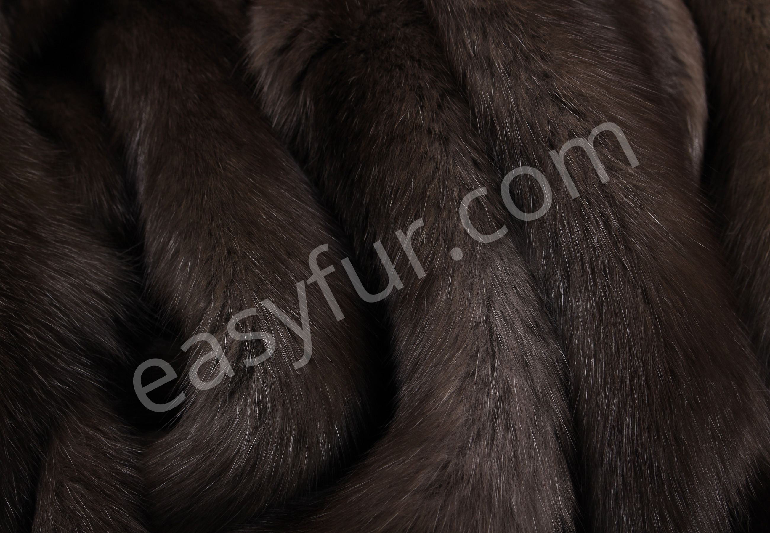 04-5495-Russische-Barguzin-Zobel-Felle