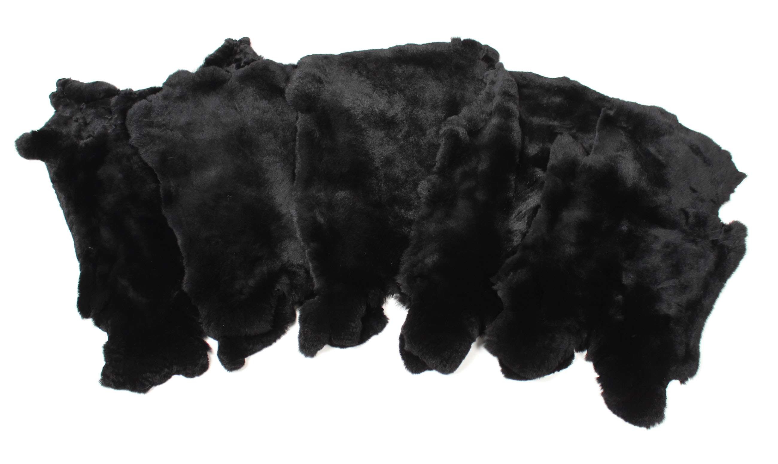 1-Rex-Rabbit-skins-black