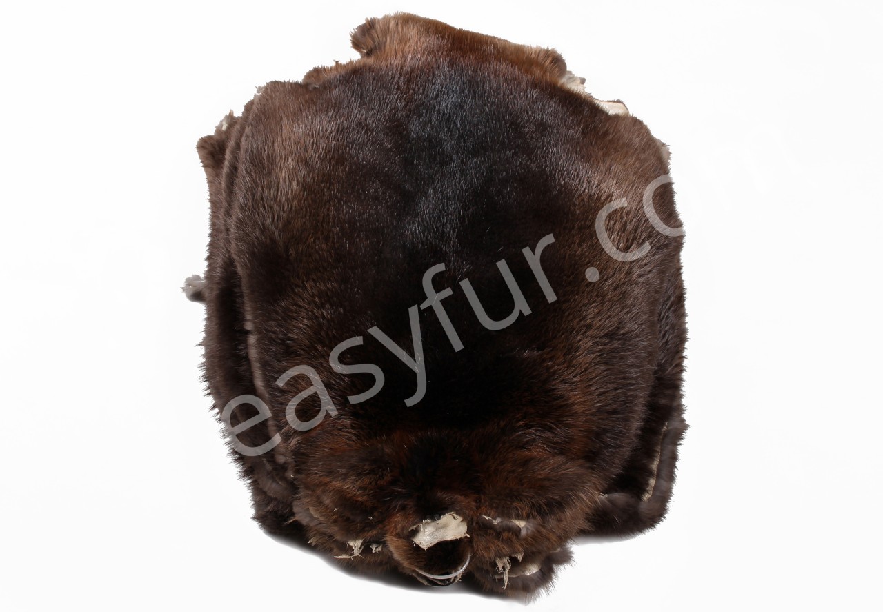 Canadian Beaver Skins