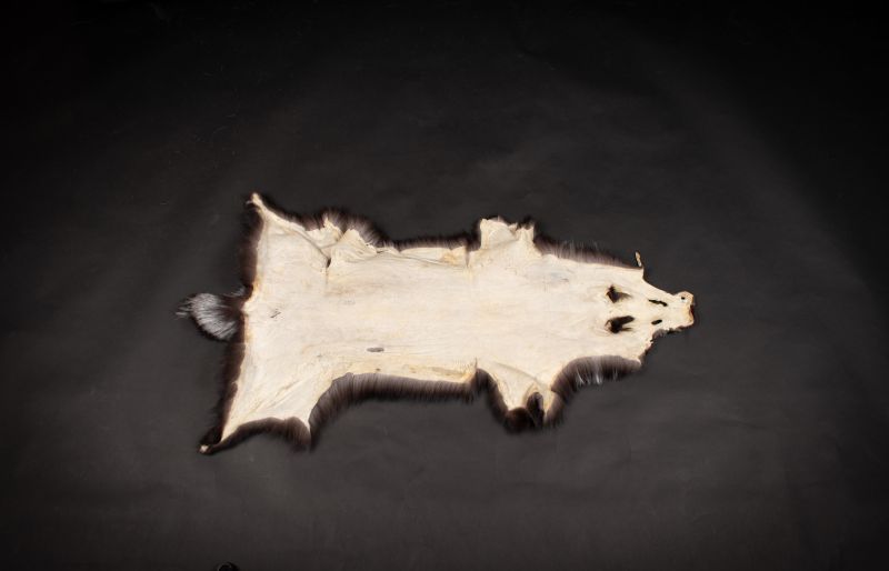 Scandinavian Silverfox Pelt | Premium Natural Fur