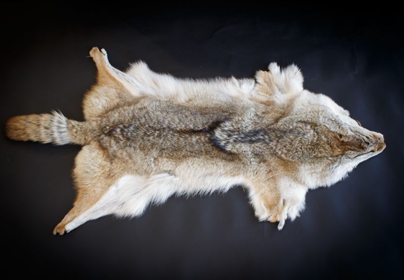 Easyfur.com - Fur Skins, Fur Bodies, Pelts and Accessories